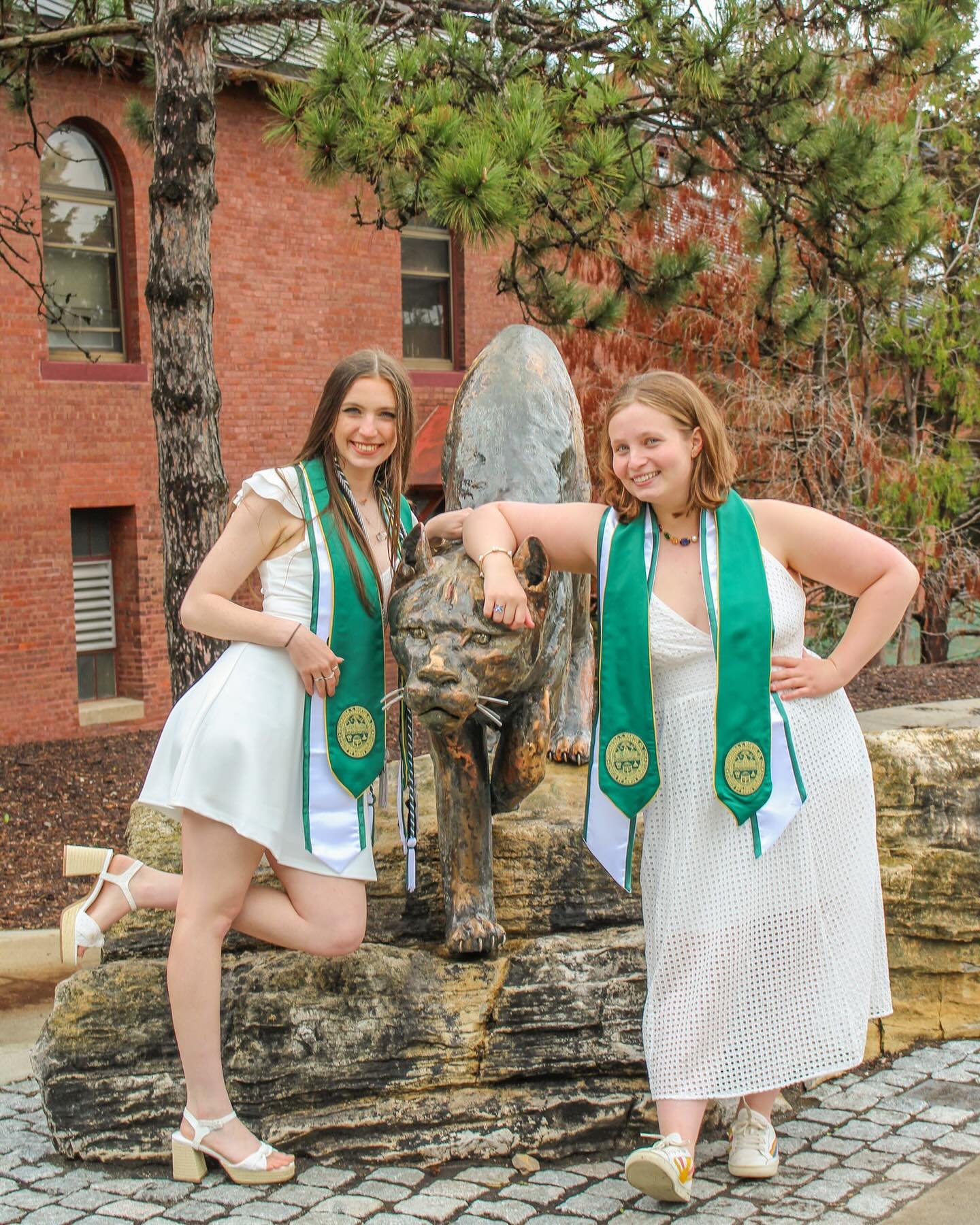 These cool cats are tossing their caps this weekend! 🎓🐾 #UVMGrad #PurrfectlyPrepared