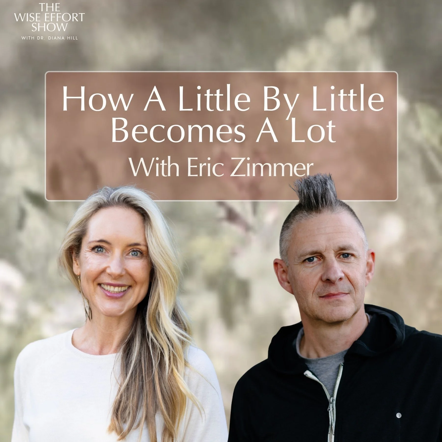 How A Little By Little Becomes A Lot with Eric Zimmer