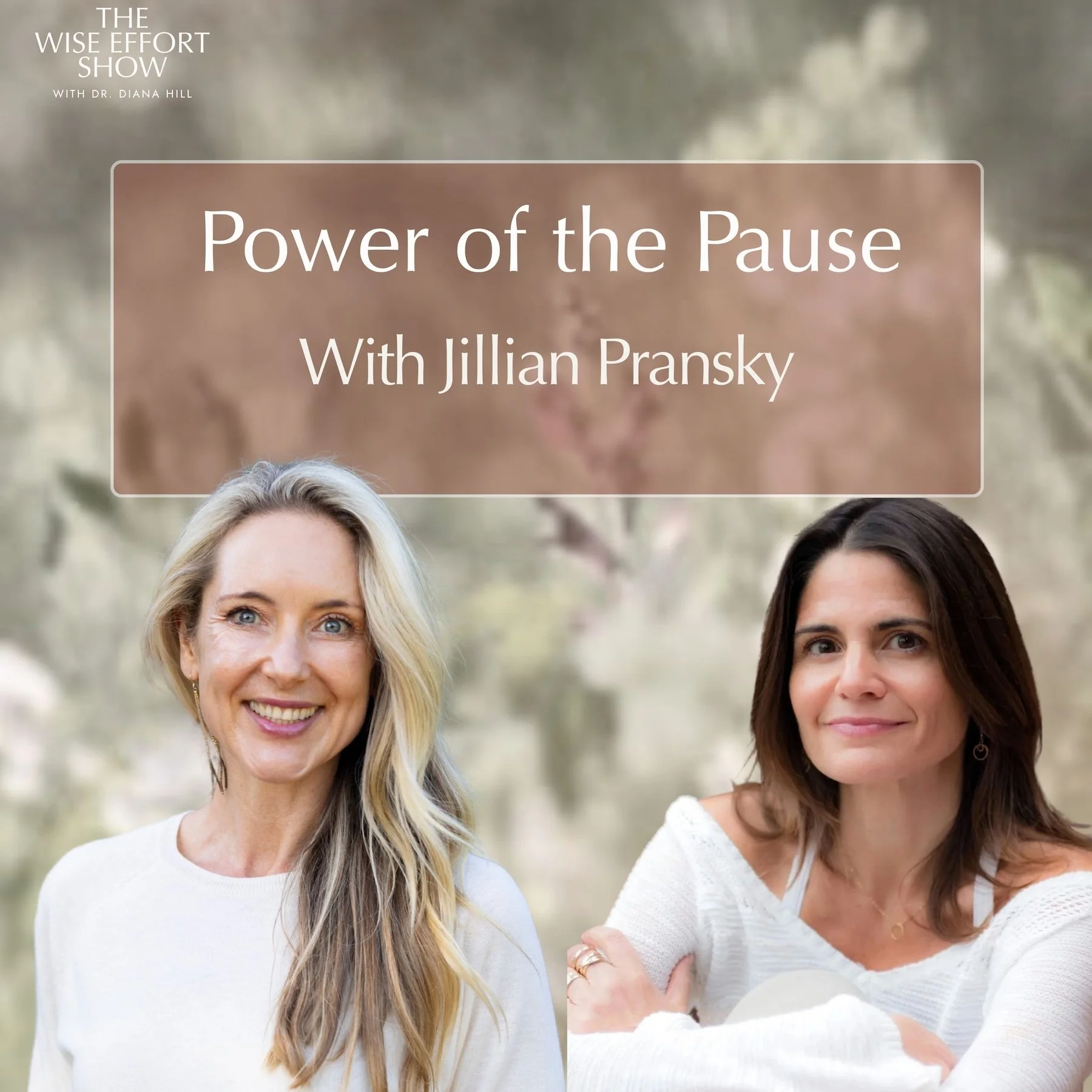  Power of the Pause with Jillian Pransky