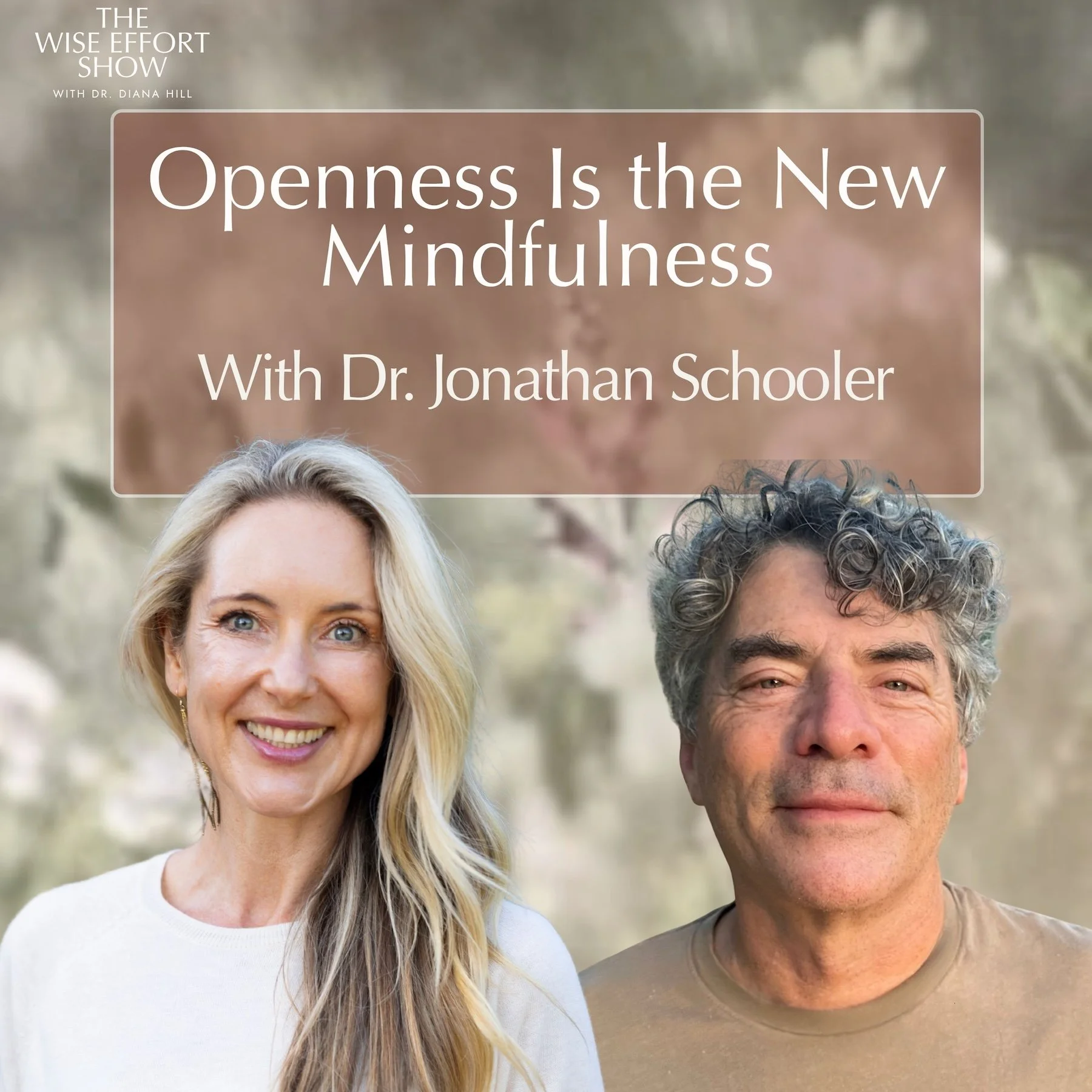 Openness Is the New Mindfulness With Jonathan Schooler