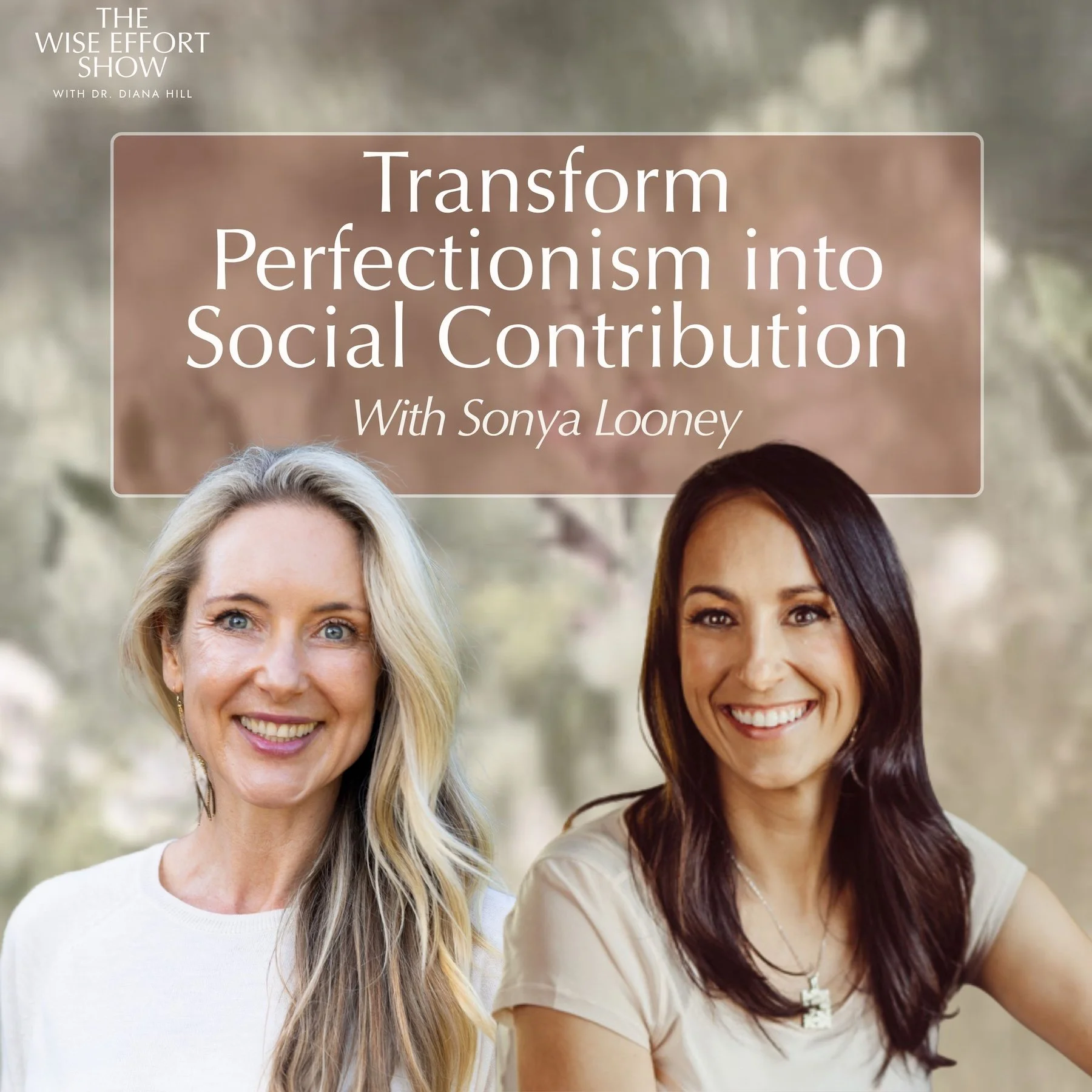 Transform Perfectionism into Social Contribution with Sonya Looney
