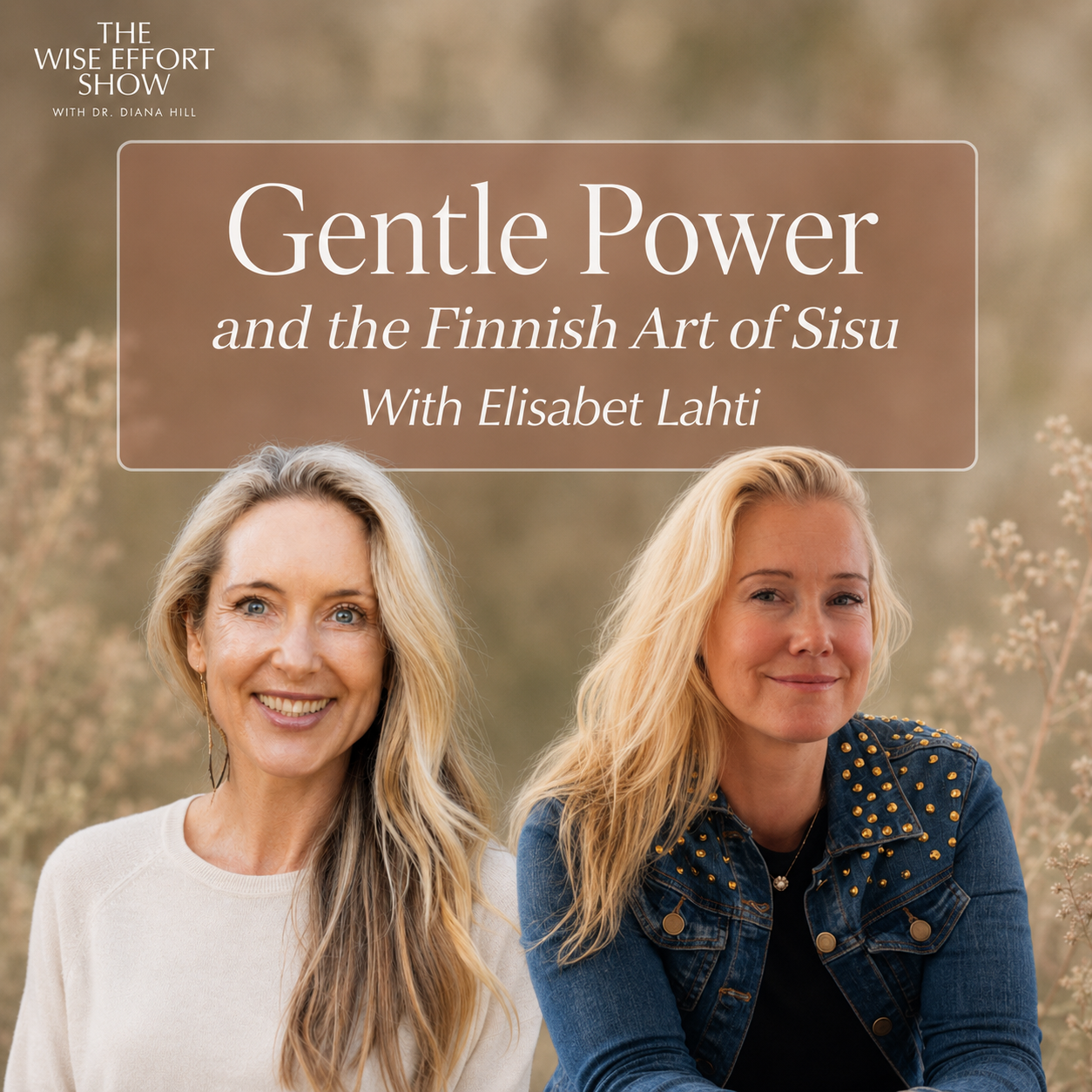 Gentle Power and the Finnish Art of Sisu With Elisabet Lahti