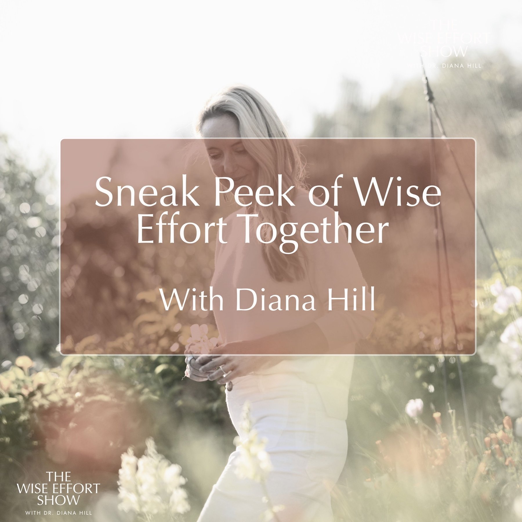 Sneak Peek of Wise Effort Together with Jack Kornfield, Trudy Goodman, Stephen Porges, Kate Johnson, Joseph Ciarrochi, Robert Waldinger, Christiana Figueres and more!