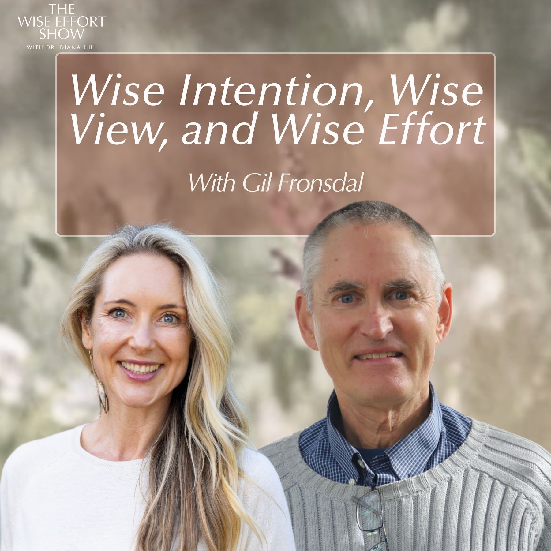 What Is the Eightfold Path? Wise Intention, Wise View, and Wise Effort with Gil Fronsdal