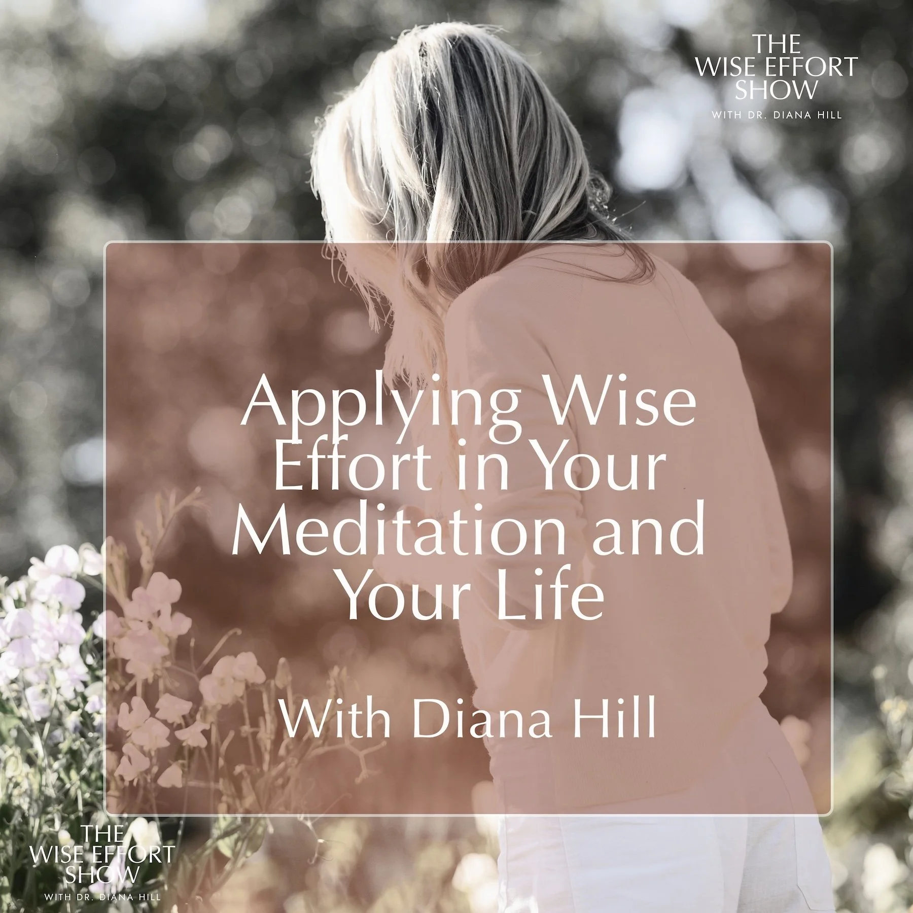 Applying Wise Effort in Your Meditation and Your Life (Live Talk and Meditation) with Dr. Diana Hill