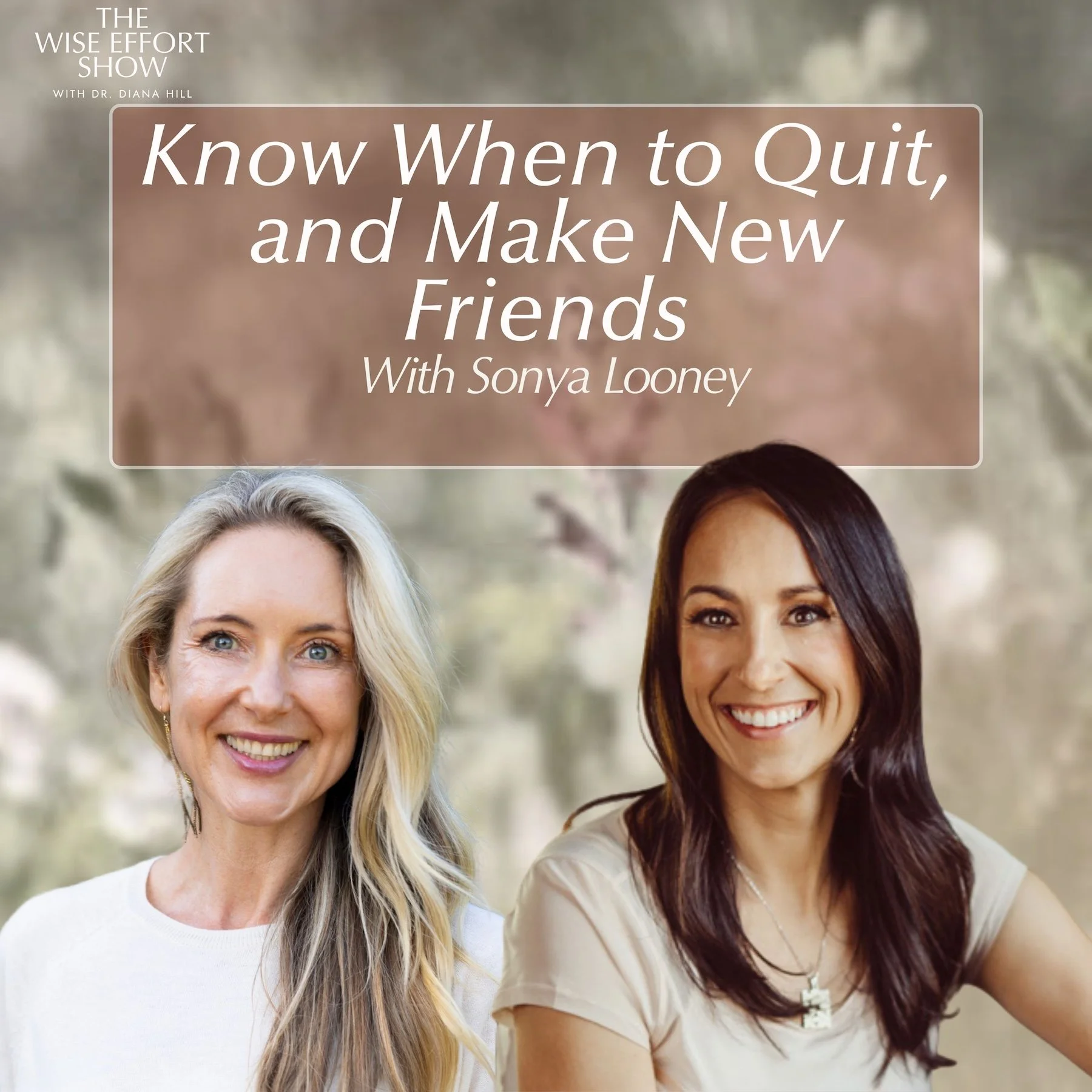 How to Use Wise Effort to Pursue Big Goals, Know When to Quit, and Make New Friends with Sonya Looney 