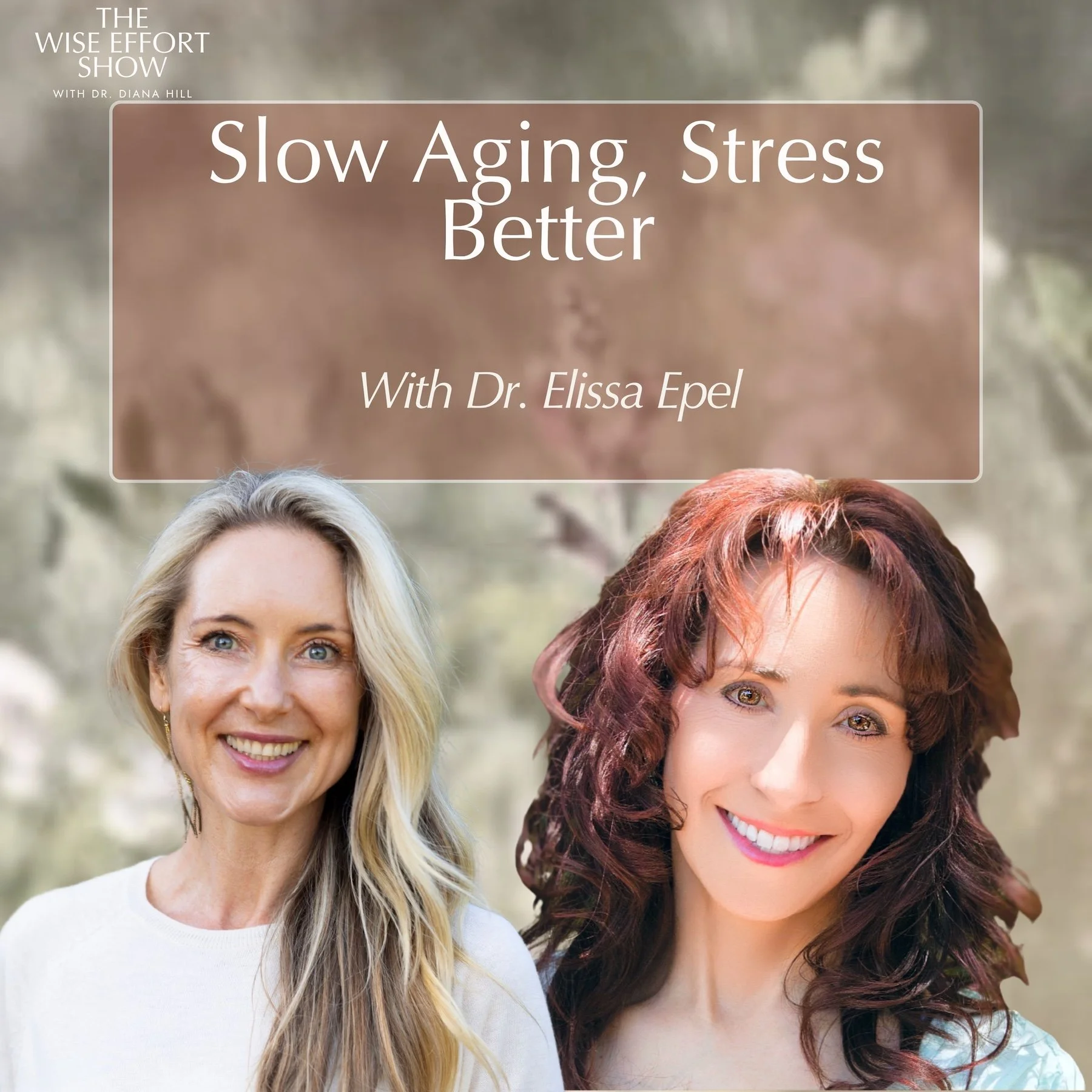 Slow Aging, Stress Better, and Rest Deeply with Dr. Elissa Epel