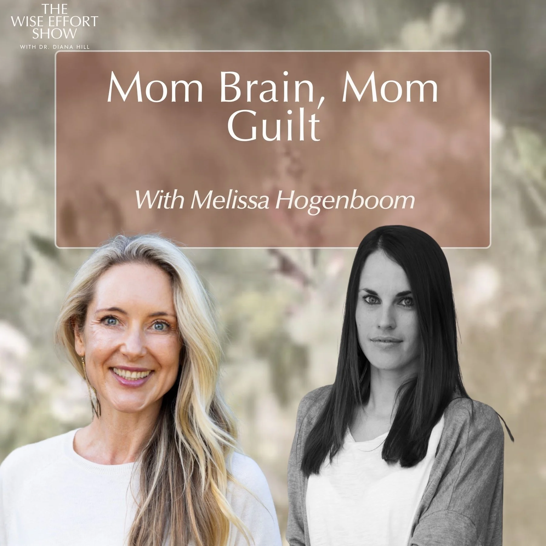 Mom Brain, Mom Guilt, and The Motherhood Complex with Melissa Hogenboom