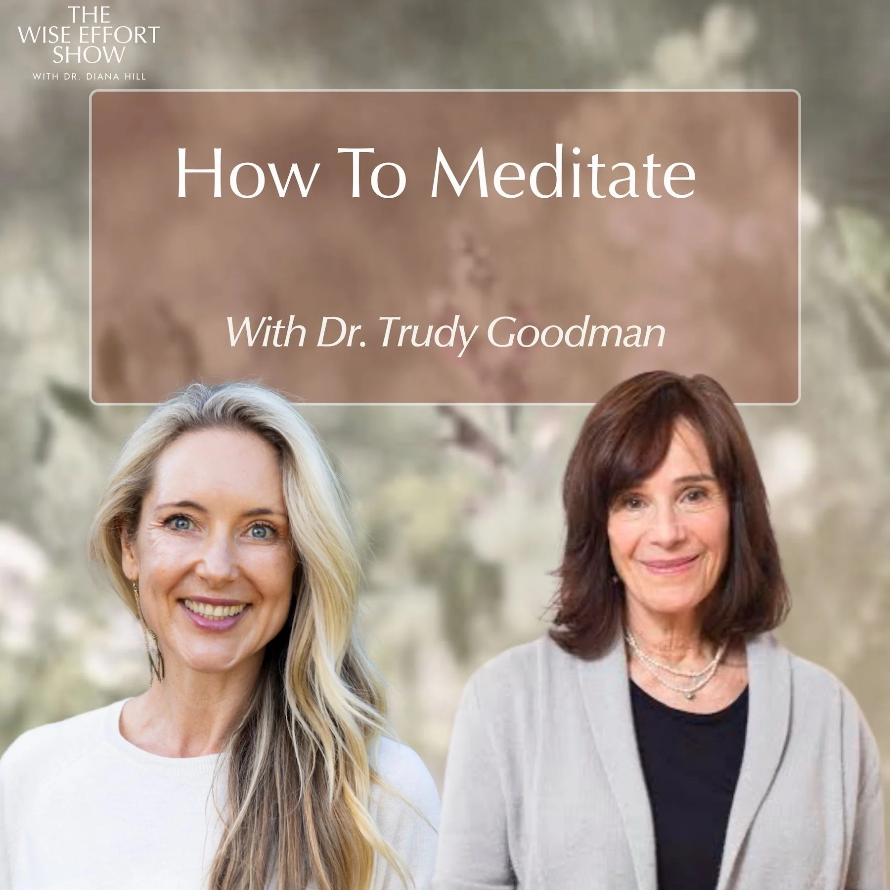 How To Meditate And Why It Matters With Trudy Goodman