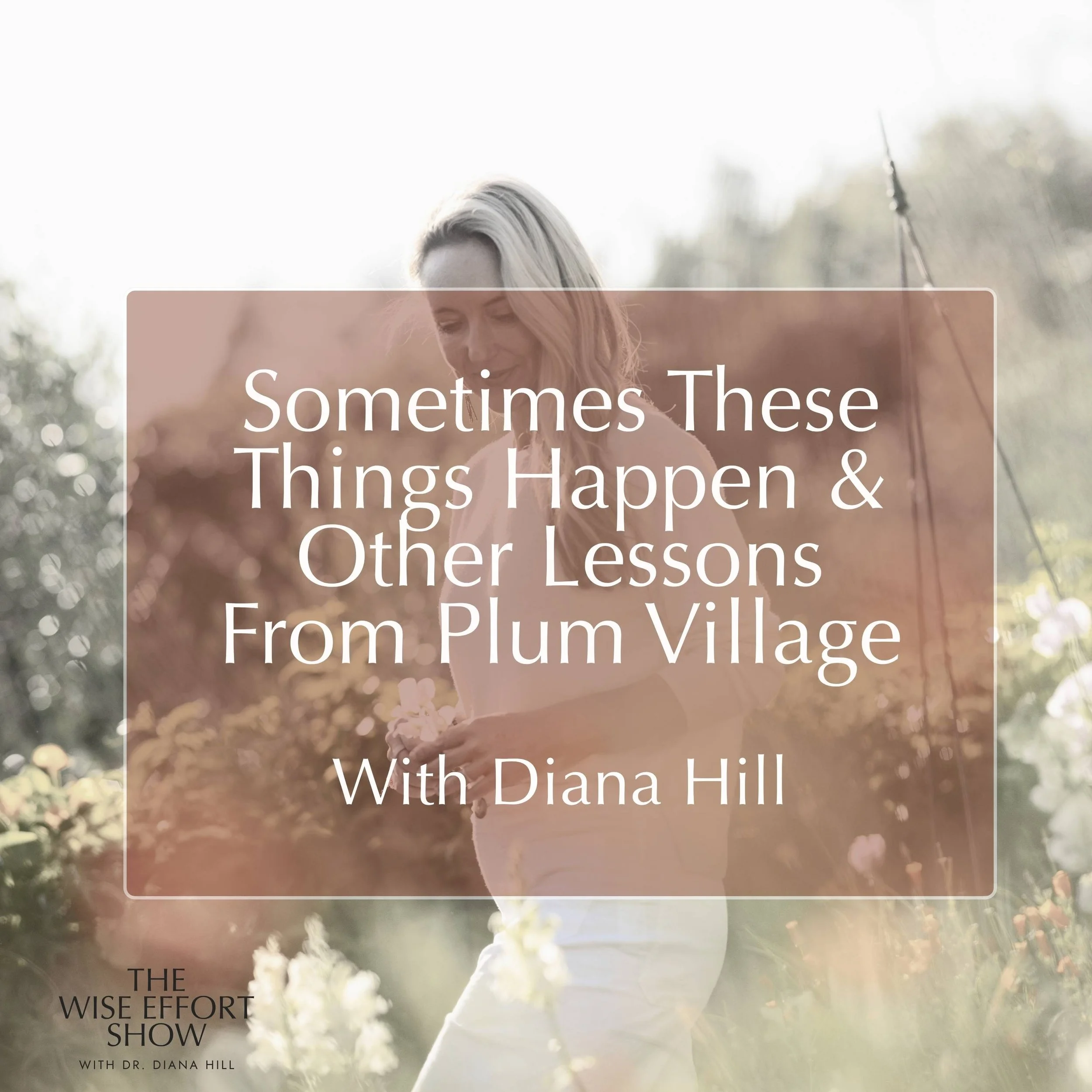 Sometimes These Things Happen &amp; Other Lessons From Plum Village