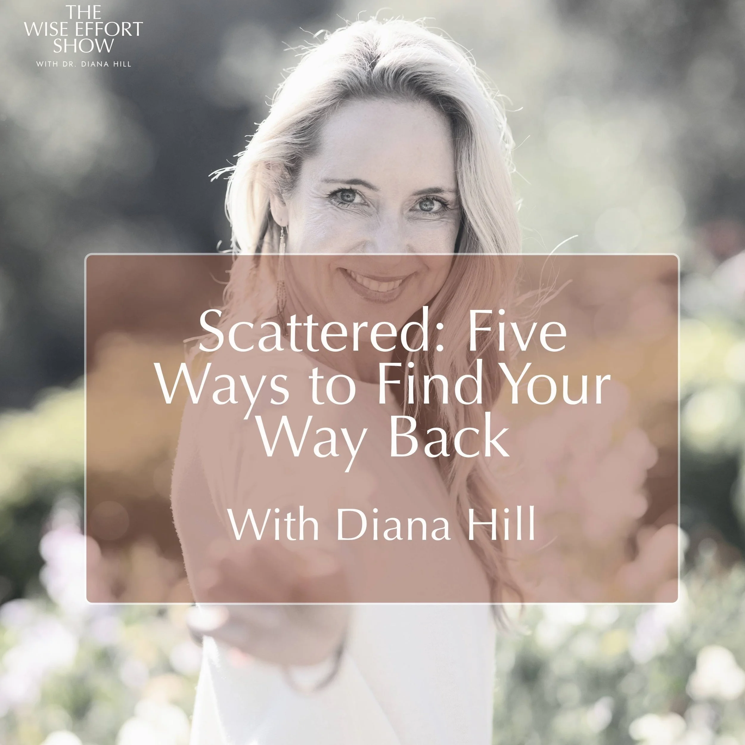 Scattered: Five Ways to Find Your Way Back