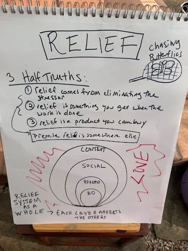 Notepad titled Relief with three half-truths above nested circles labeled Bio, Psycho, Social, Context, and love.