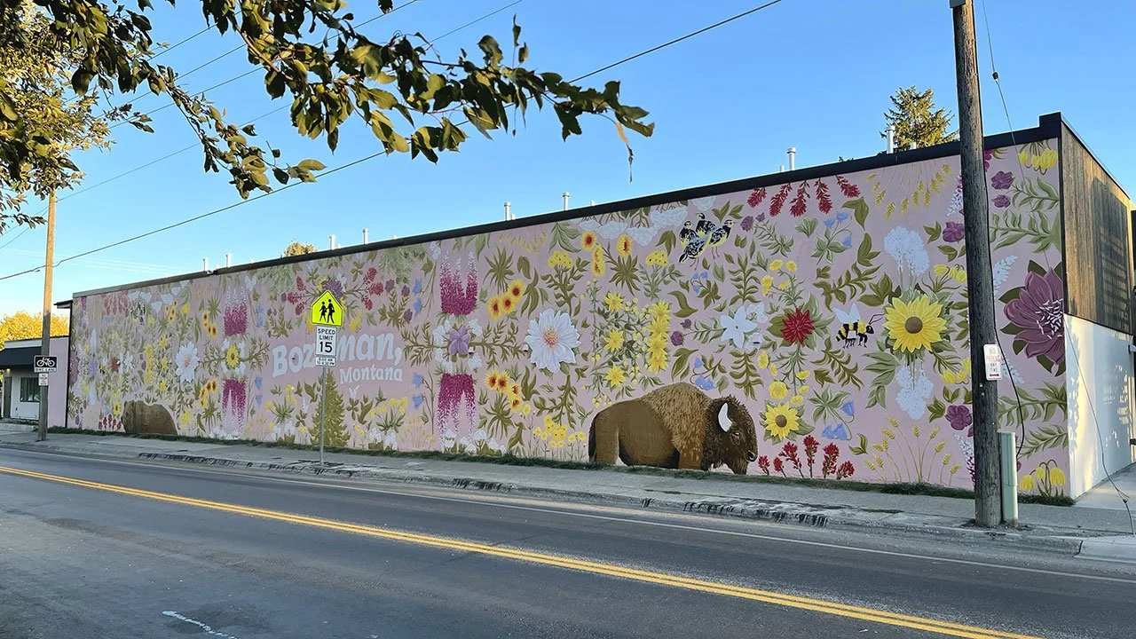What kind of paint do you use for a mural?