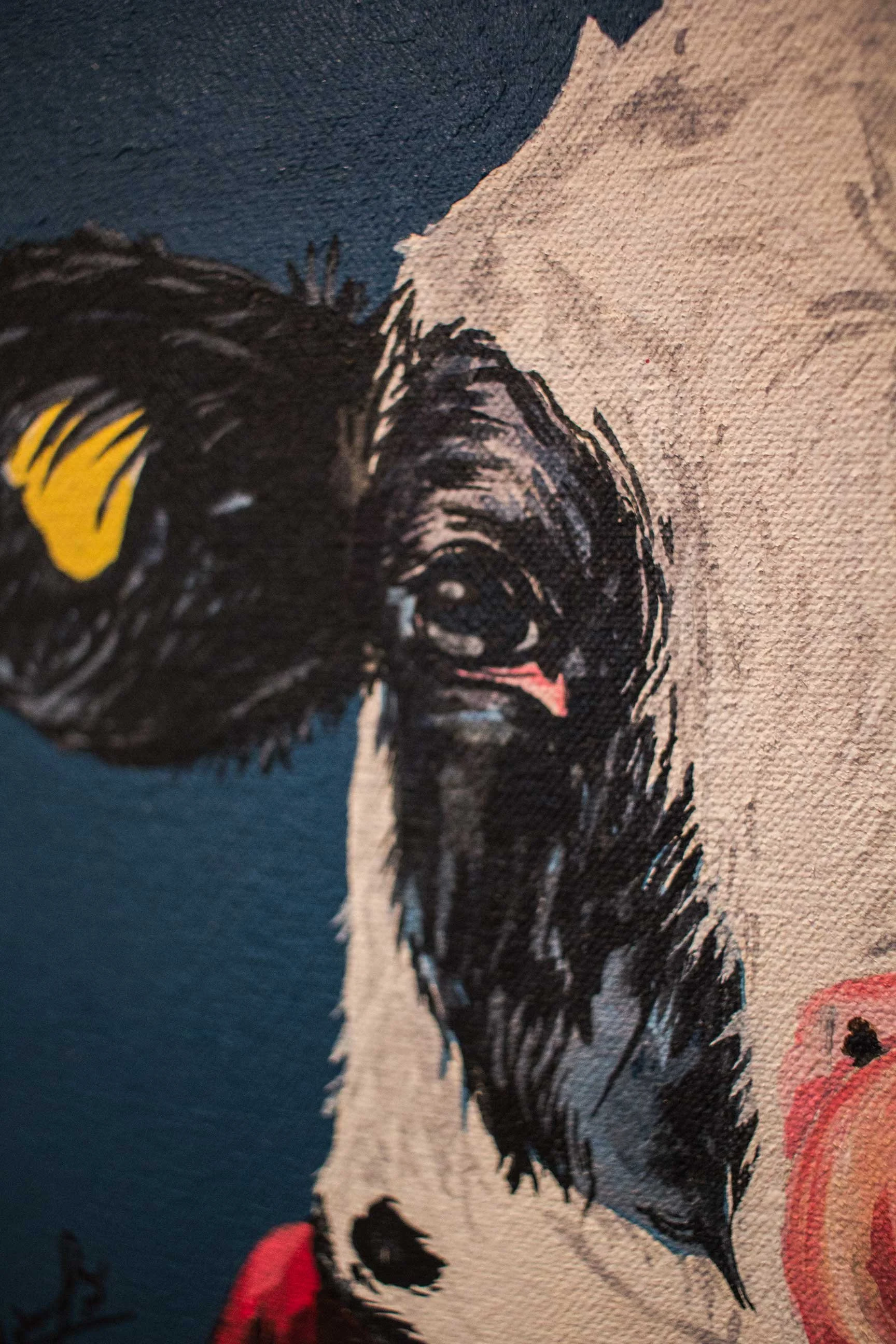 Cowsies-13.jpg