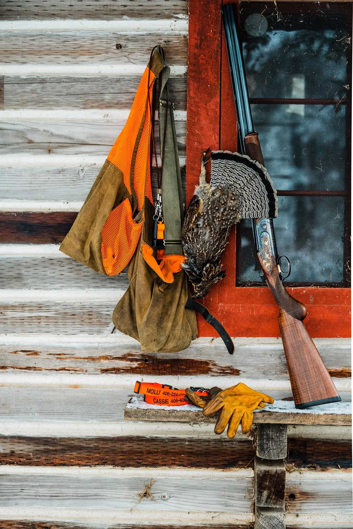 cabin.jpg