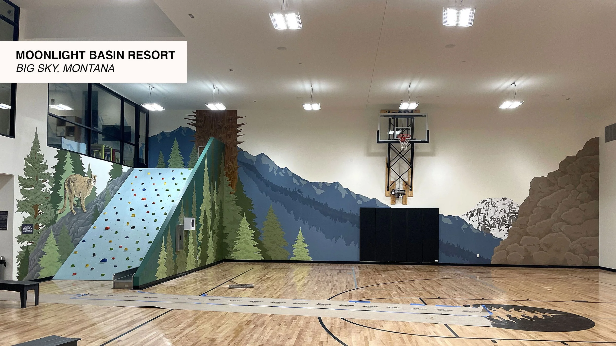 Brelse-Illustration-'Around-Montana'.jpg