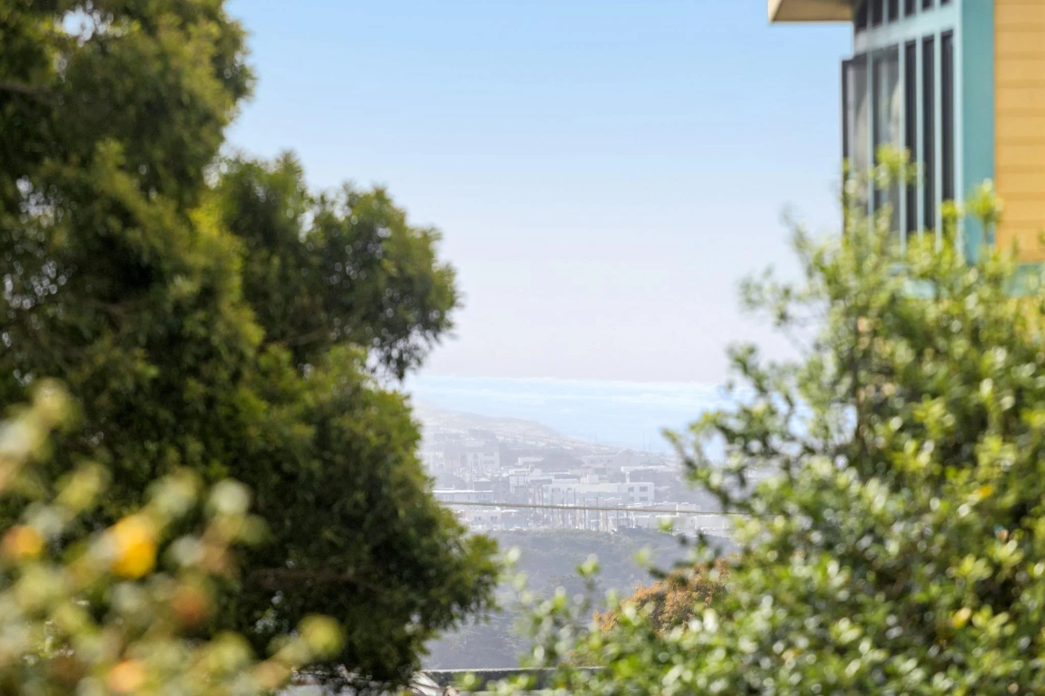 View of a cityscape with a clear blue sky, framed by green trees and foliage in the foreground, and a modern building with colorful exterior on the right.