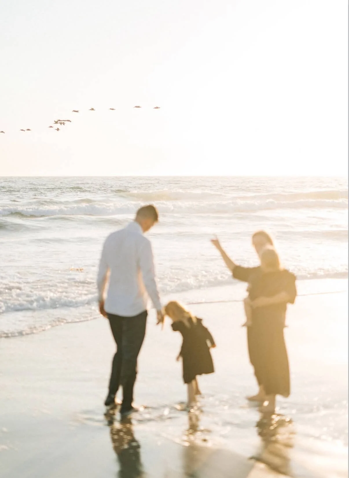 Family walking on the beach at sunset, with flying birds in the sky.