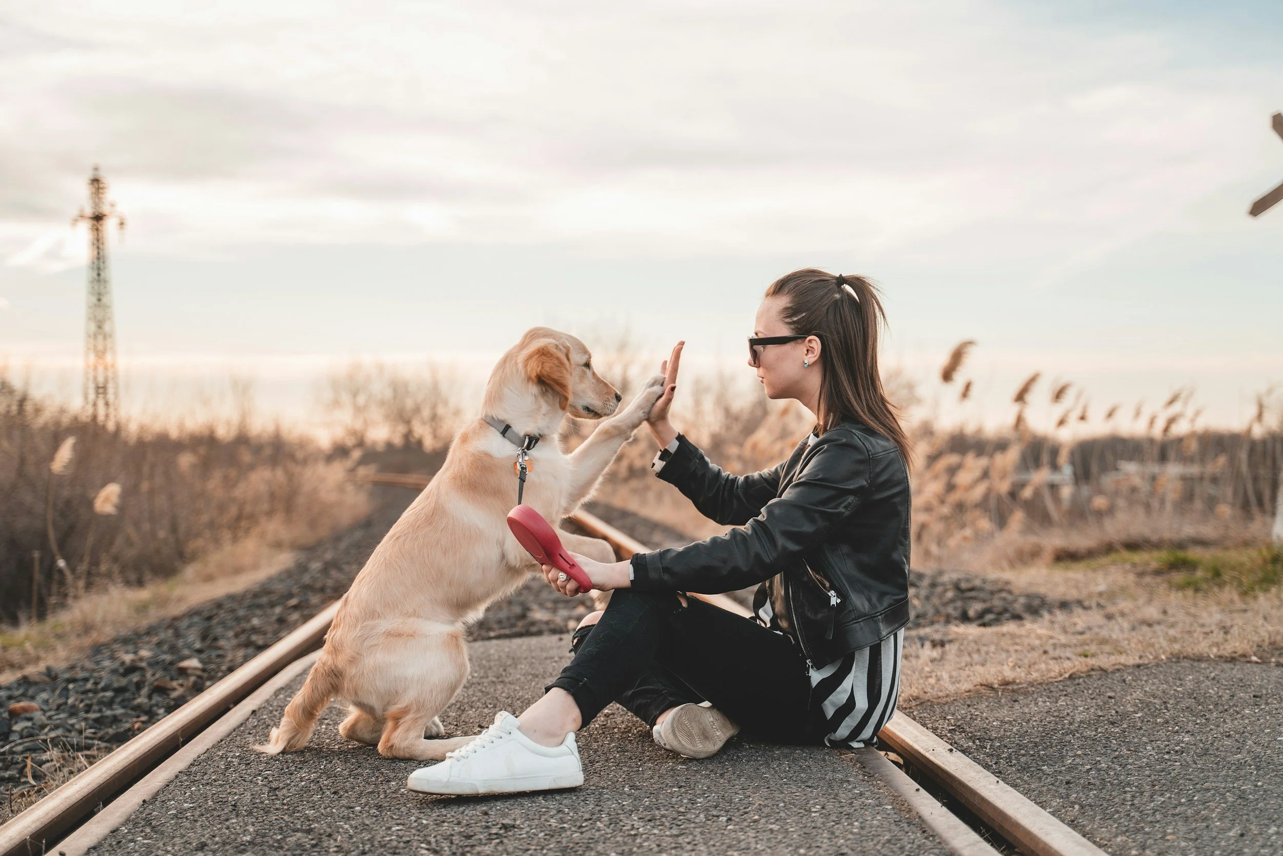 A female dog owner sharing a joyful high five with her dog while sitting near train tracks, illustrating the strong bond between individuals and their emotional support animals.