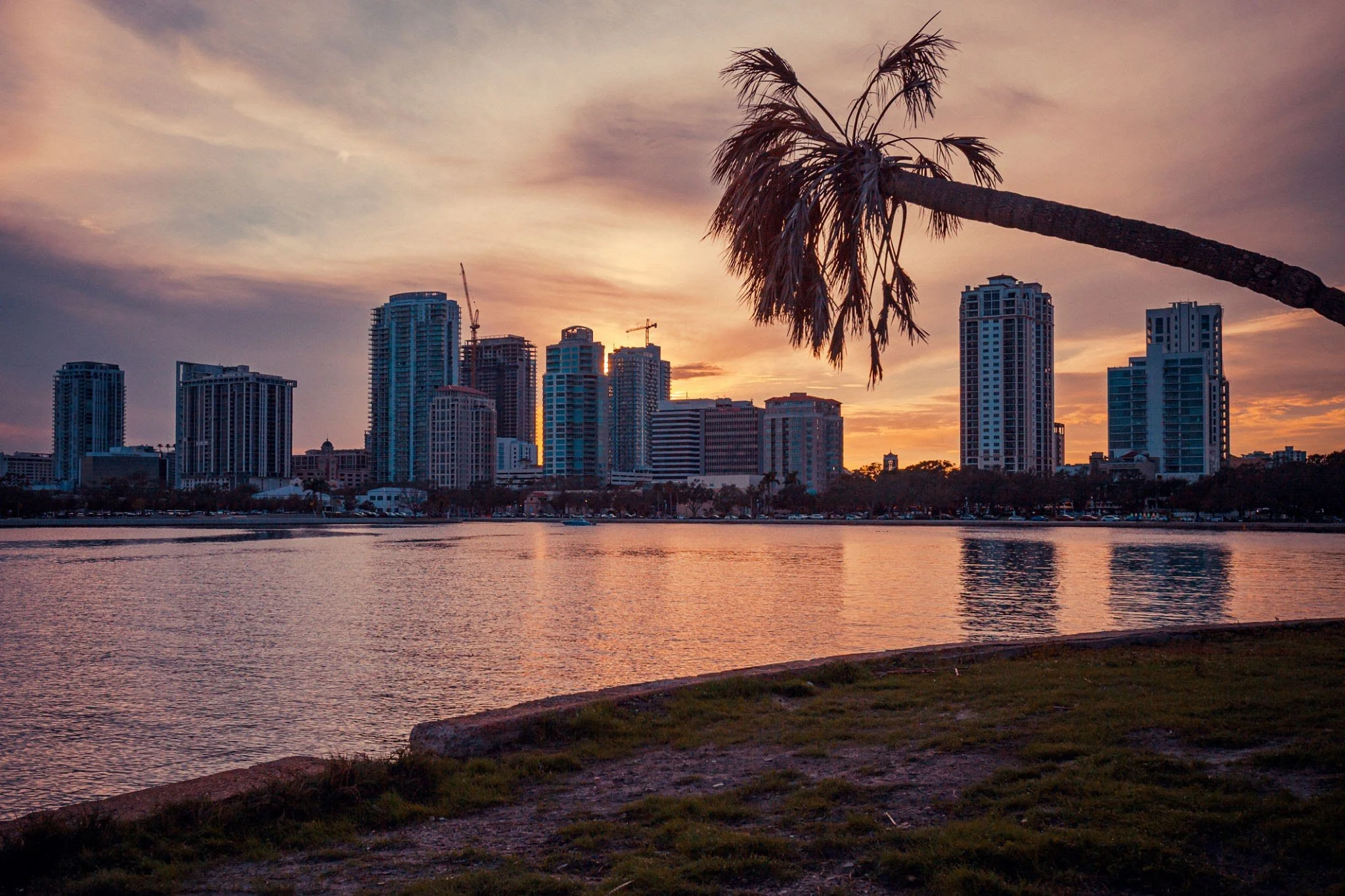 Downtown St. Petersburg Florida waterfront skyline against a warm sunset with palm trees along Tampa Bay
