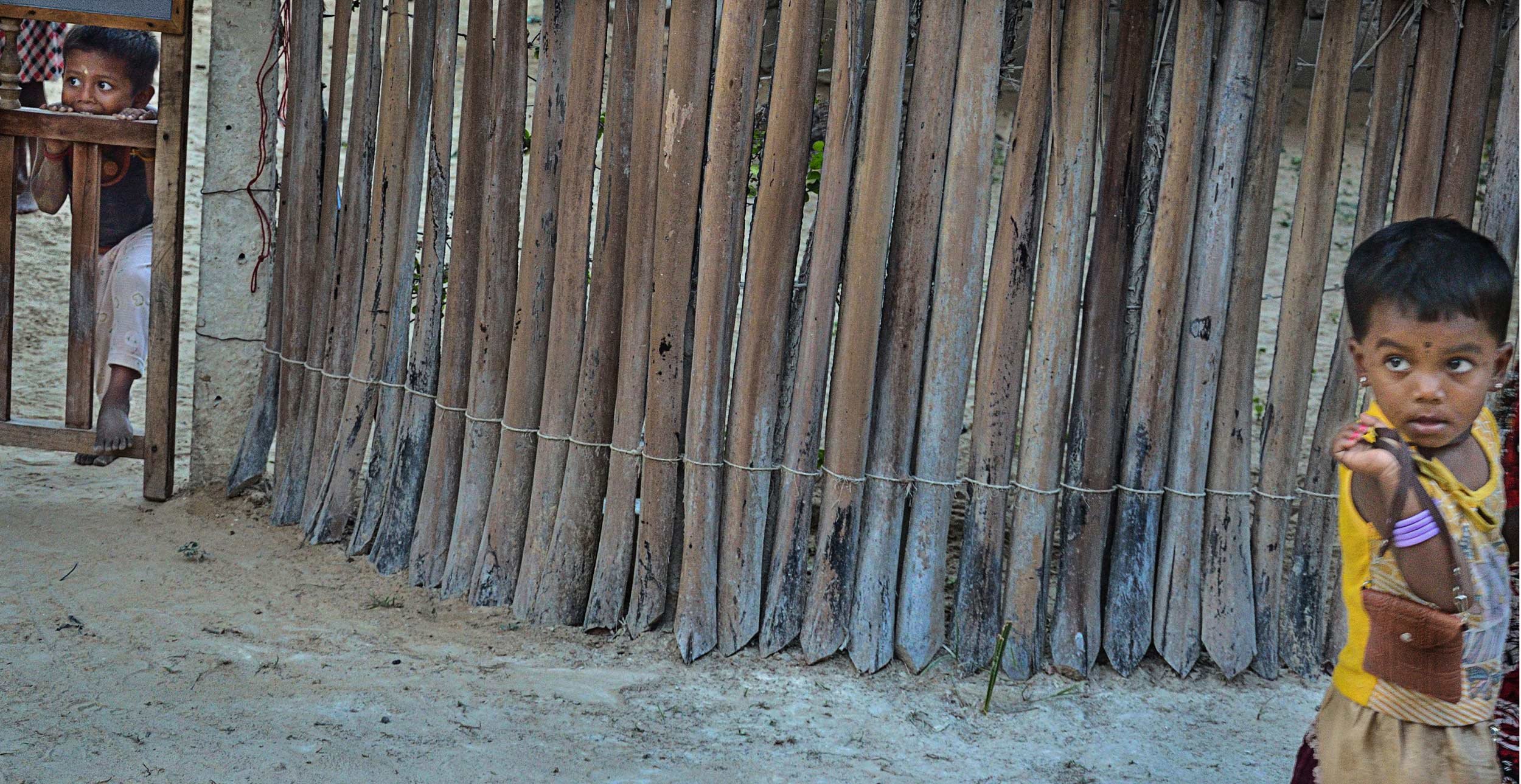 A Palmyrah fence is a traditional boundary made from woven Palmyrah palm leaves or branches. In Jaffna, Tamil houses are often separated by these talpitis fences.