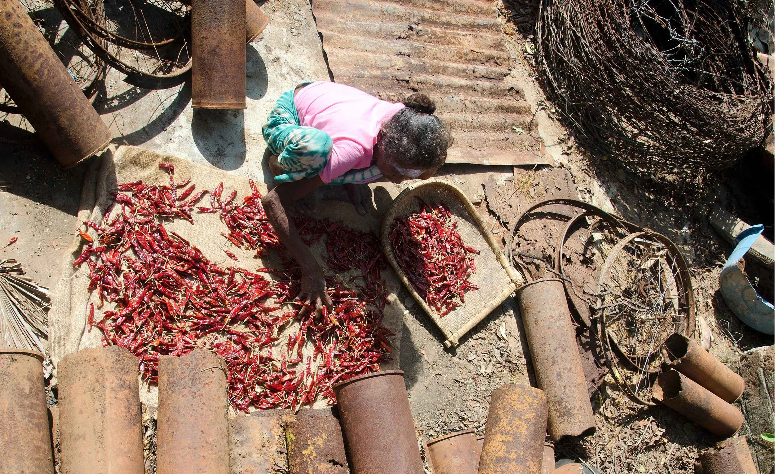 A person with dark hair in a bun, wearing a pink shirt and multicolored sleeves, is sitting on the ground amid old rusted metal pipes and debris, working with red chili peppers laid out on a burlap cloth.