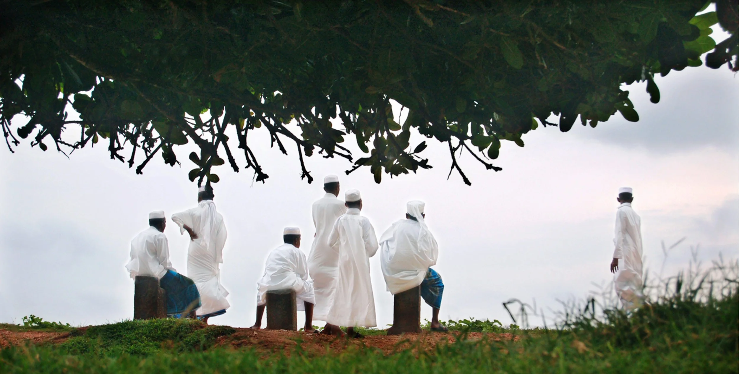People pause beneath the trees near Galle, in one of those small scenes that make a place feel remembered.