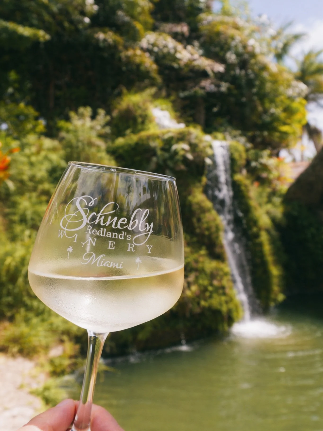 The perfect pairing: sunshine + wine ☀️🍷