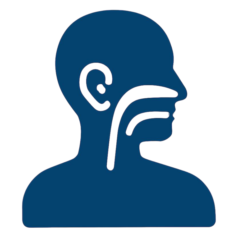  Ear, Nose and Throat