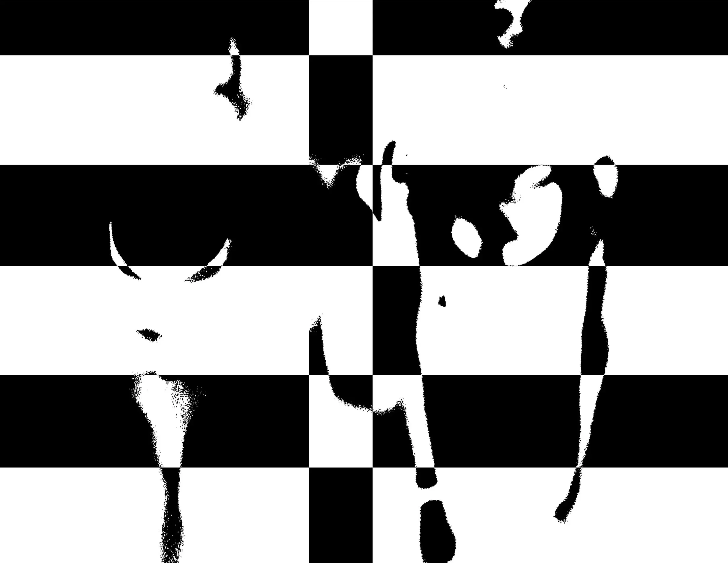 checkerboard.jpg