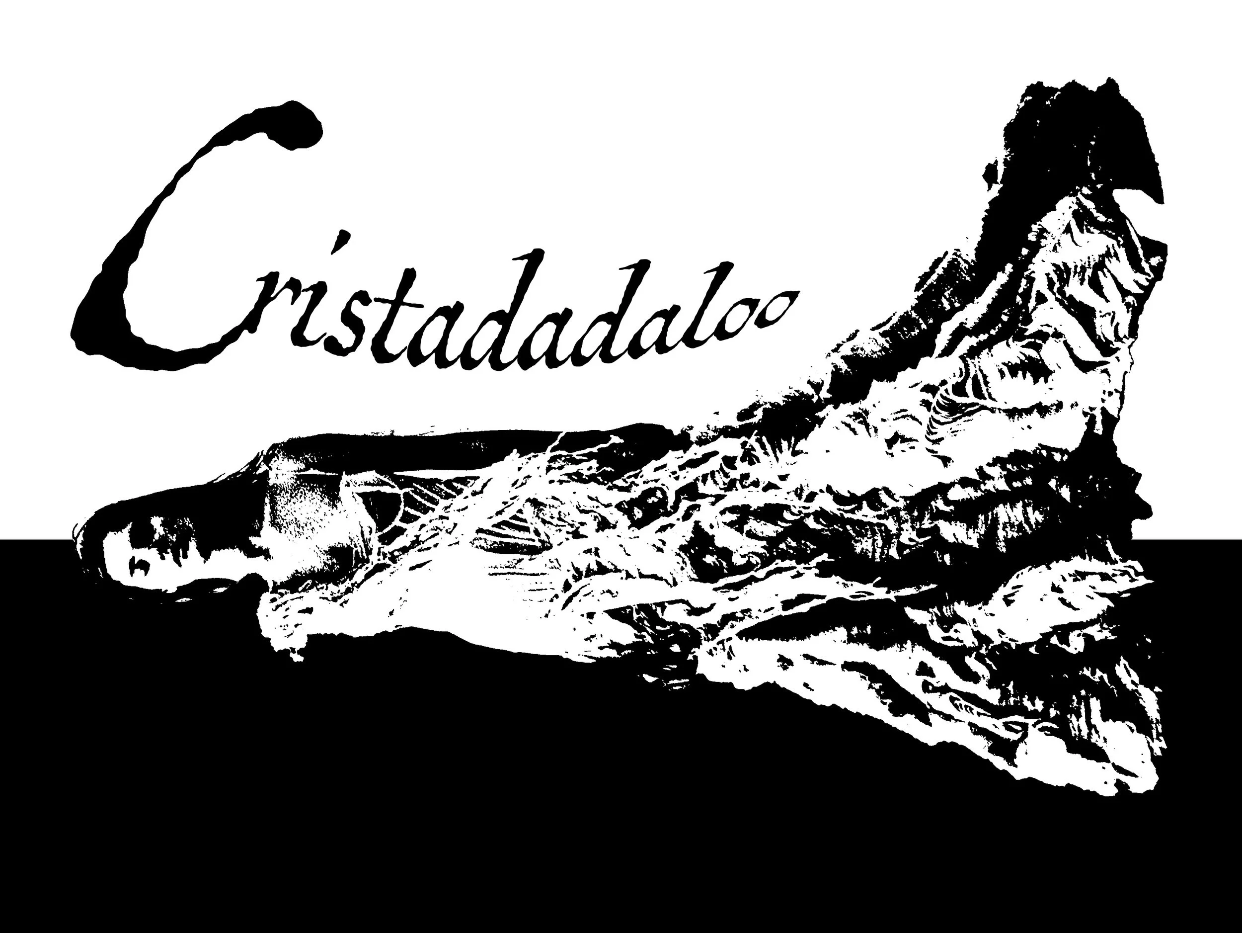 cris5 copy.jpg