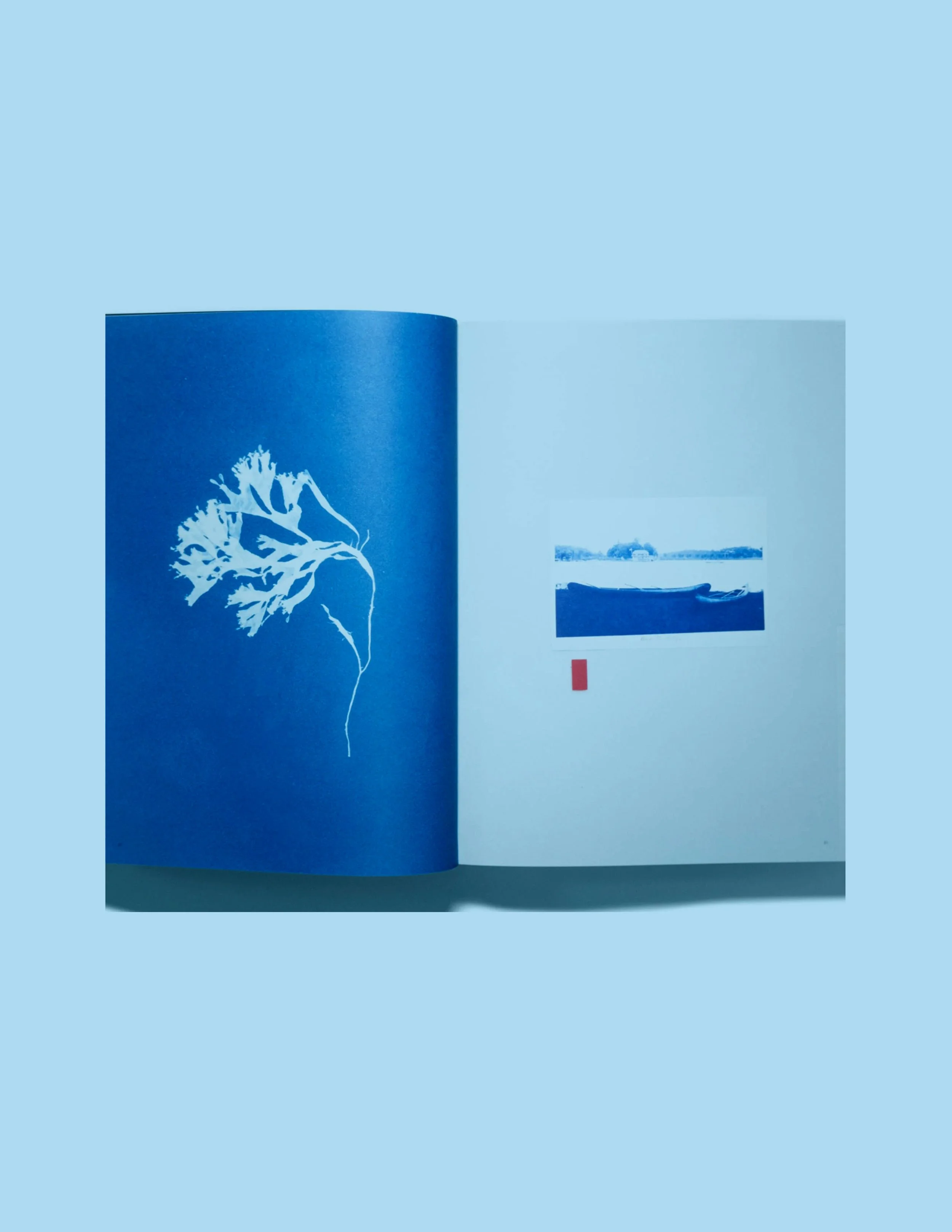 bluebook1.jpg