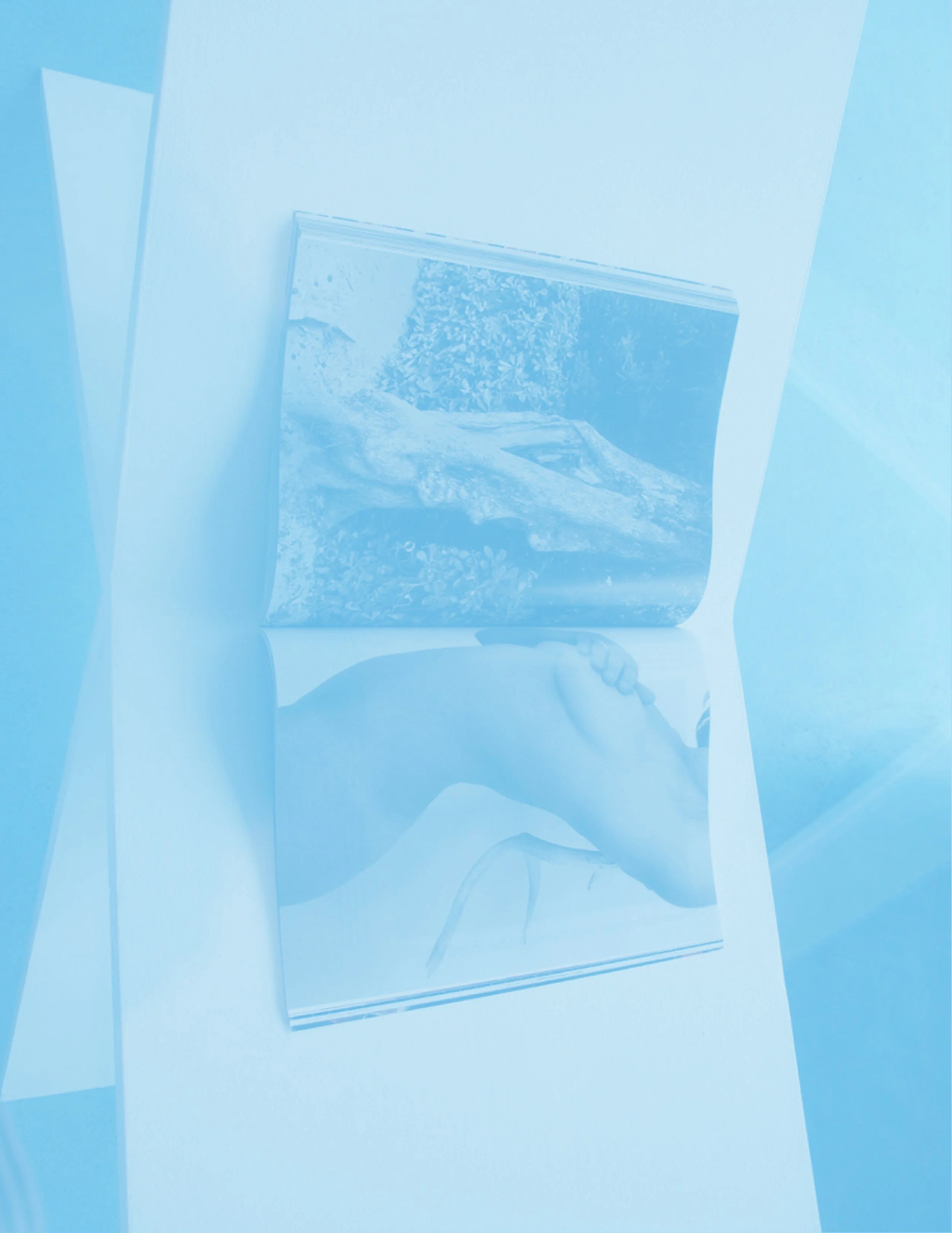blueback2.jpg