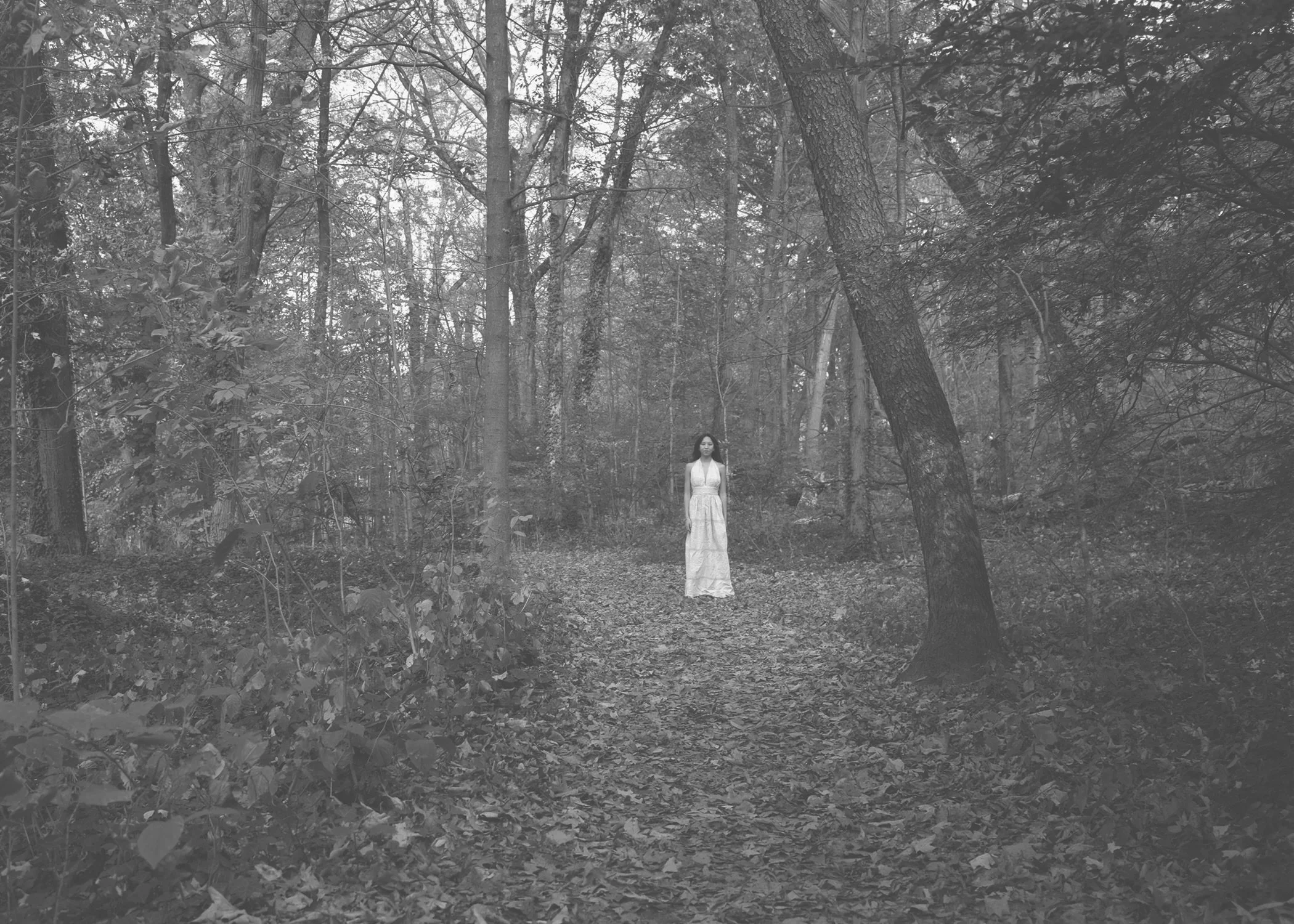 woodwoman1.jpeg