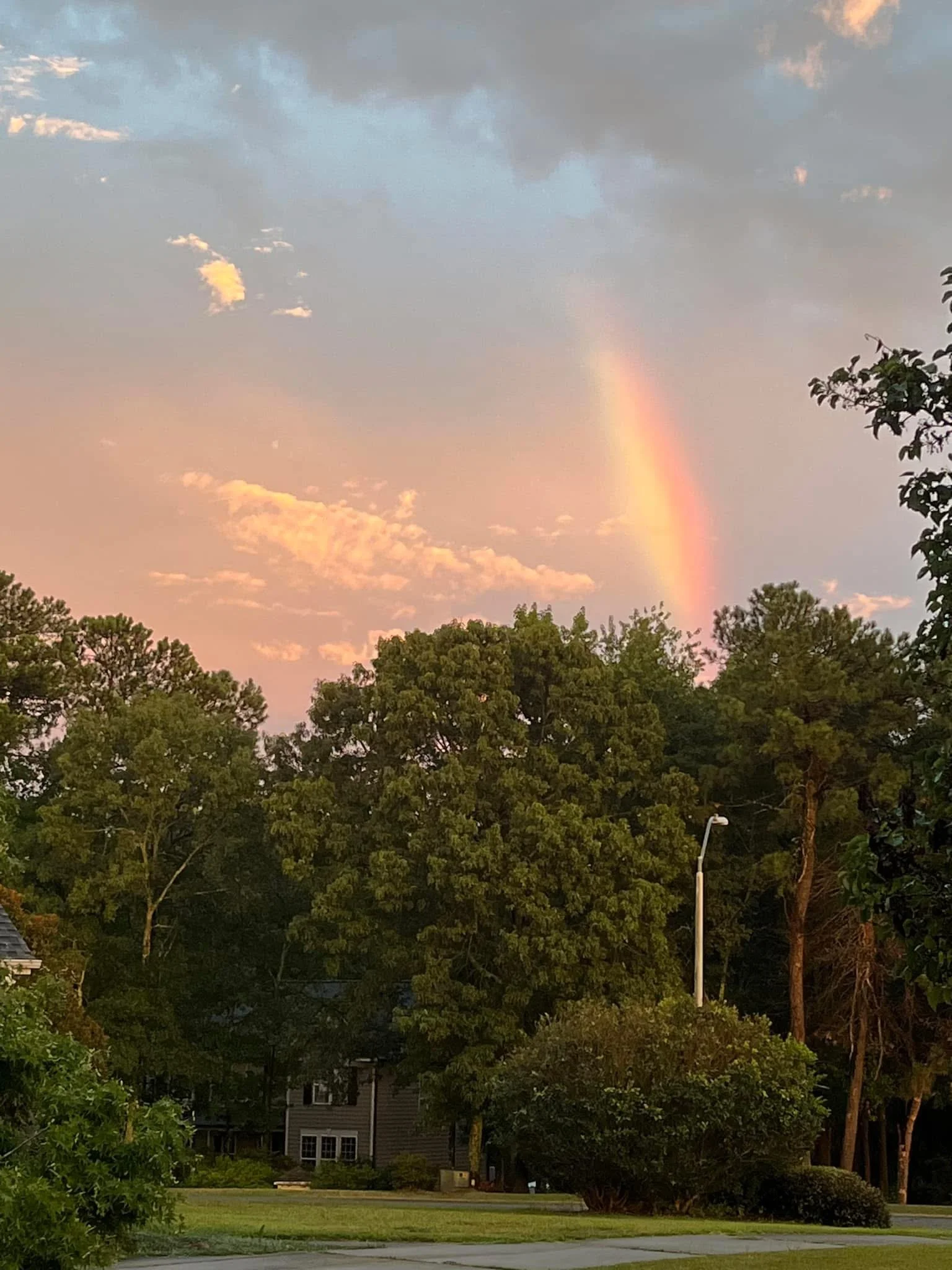 🌈 Rainbow Moment 
