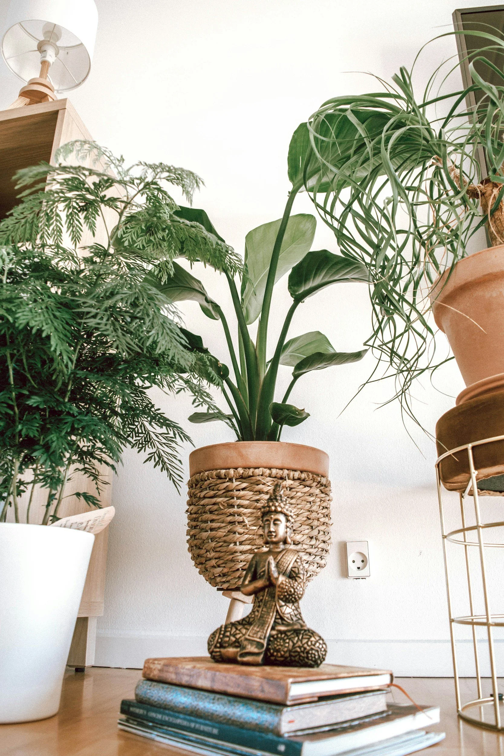 A close-up view of a small Buddha statue sitting on top of a stack of books on a wooden floor, with green indoor plants in the background, including a large leafy plant in a woven basket and another with long, thin, curling leaves in a terracotta pot. A white wall with an electrical outlet and a floating shelf are also visible.