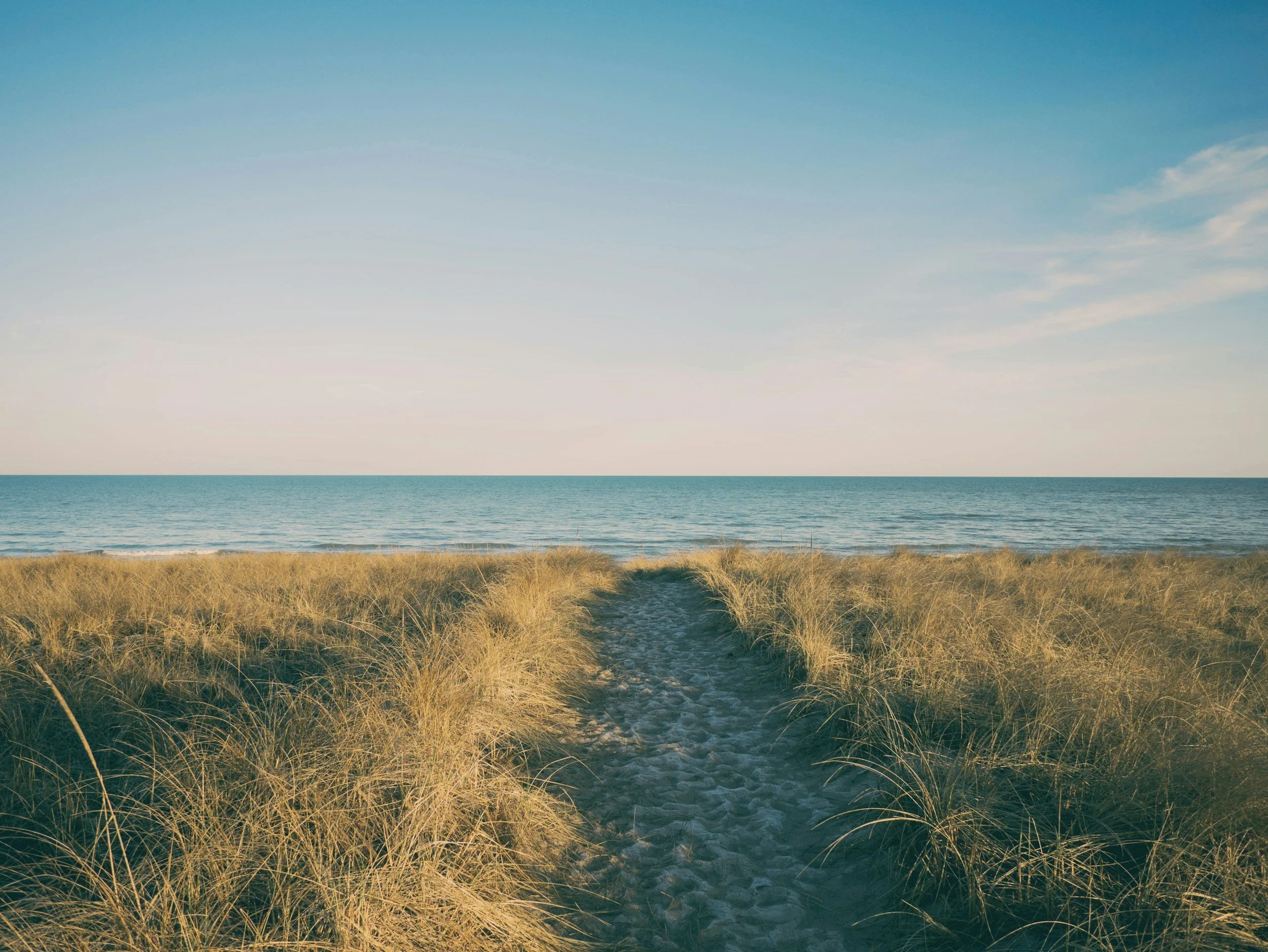 A sandy pathway surrounded by tall grass leading to a calm ocean with a clear blue sky and a few clouds.