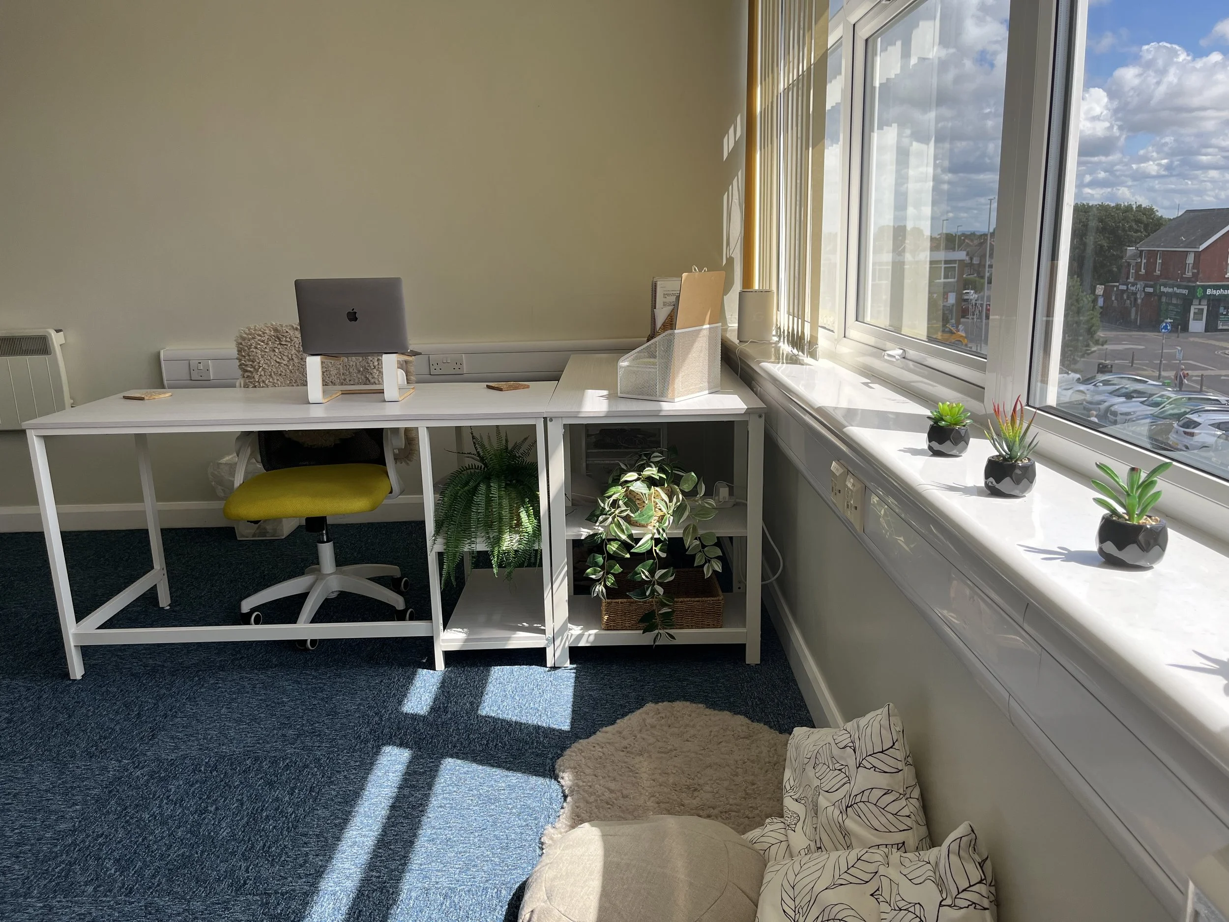 A work desk beside a large window with vertical blinds, decorated with potted plants and office supplies, in a sunlit room with carpeted floor.
