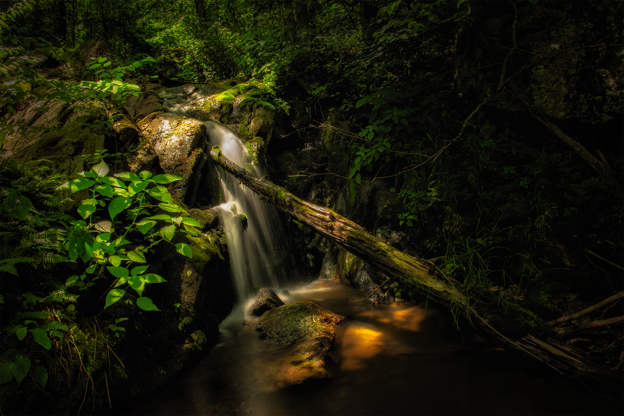 "The Runoff"