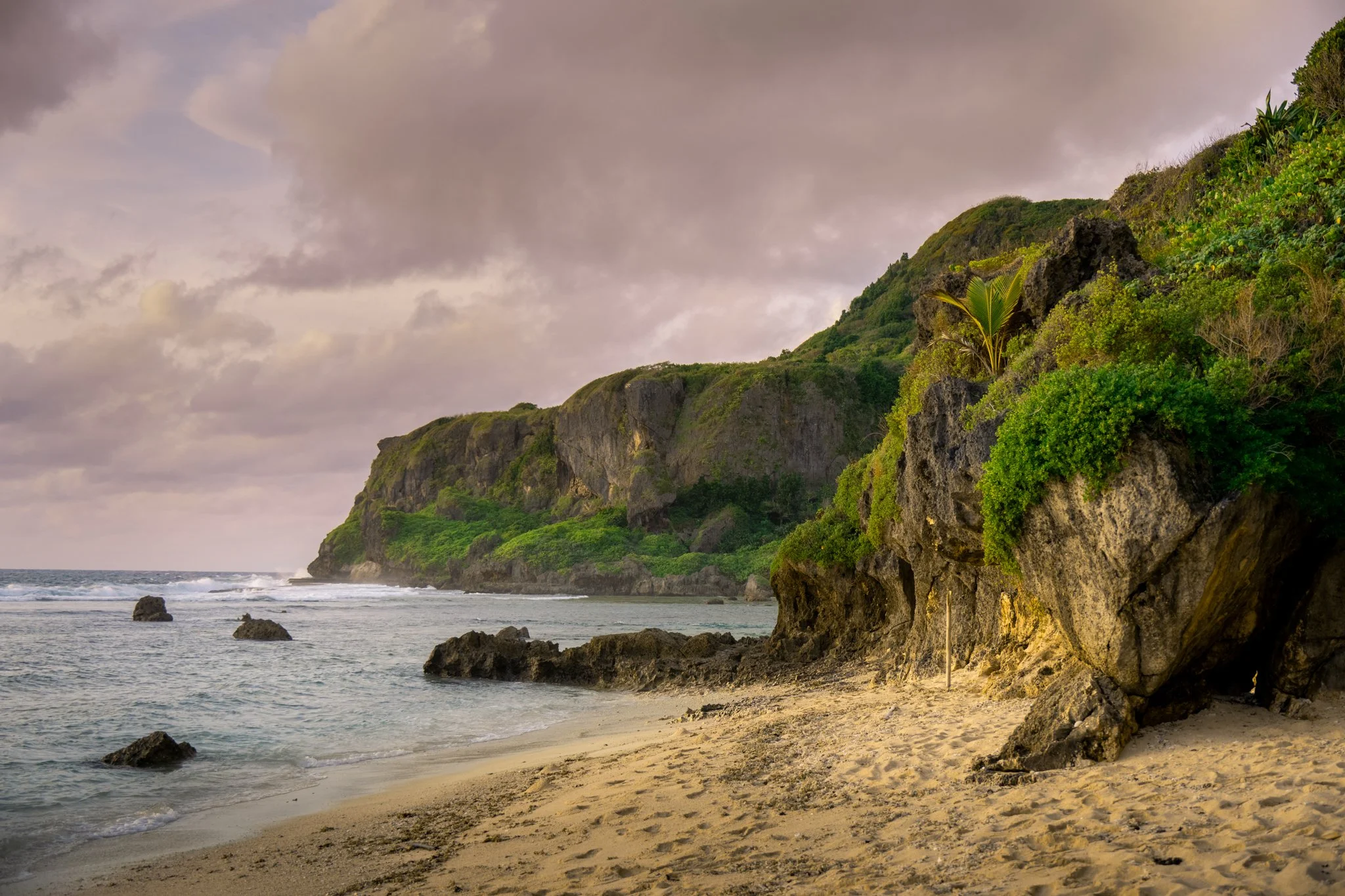 "The Cove"