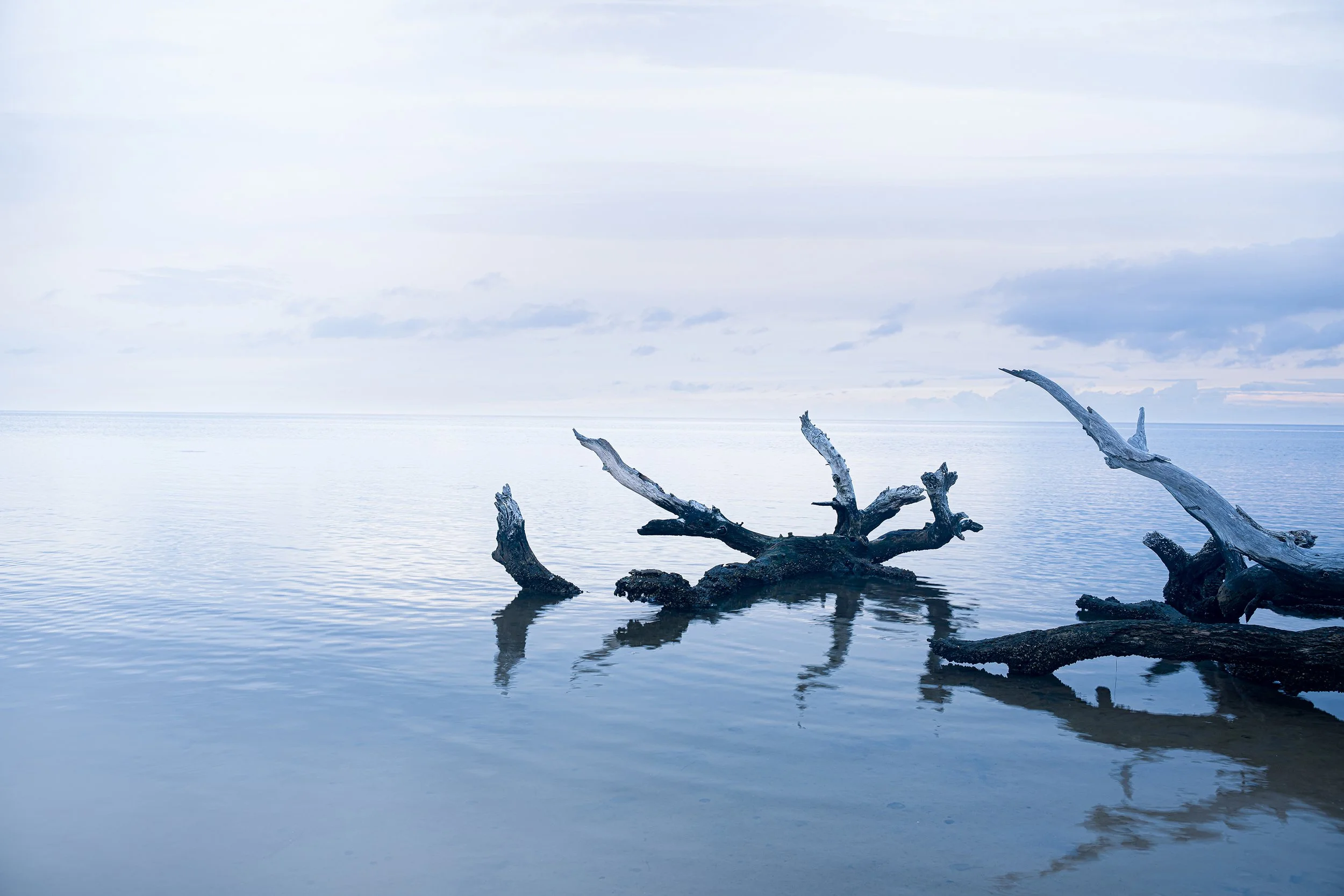 "A Quiet Sound"
