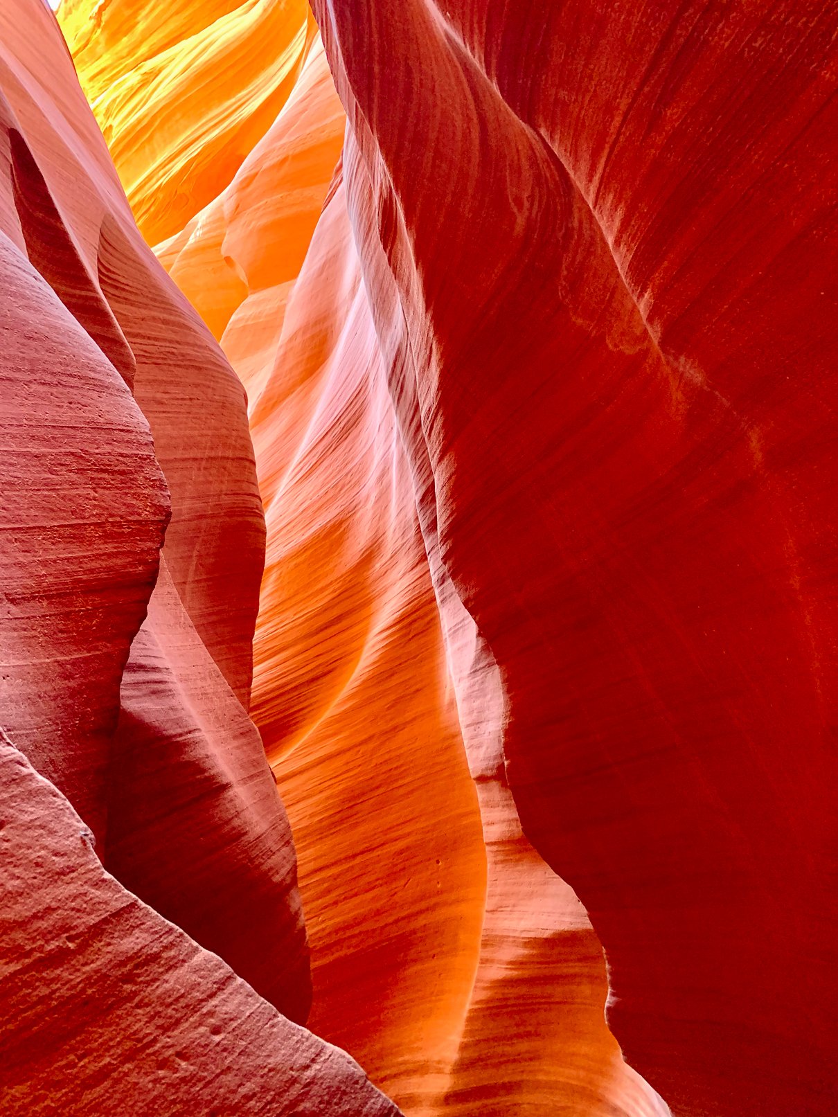 Crimson Canyon