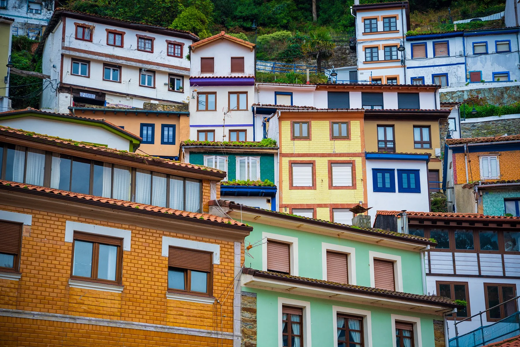 "Colorful Neighbors"