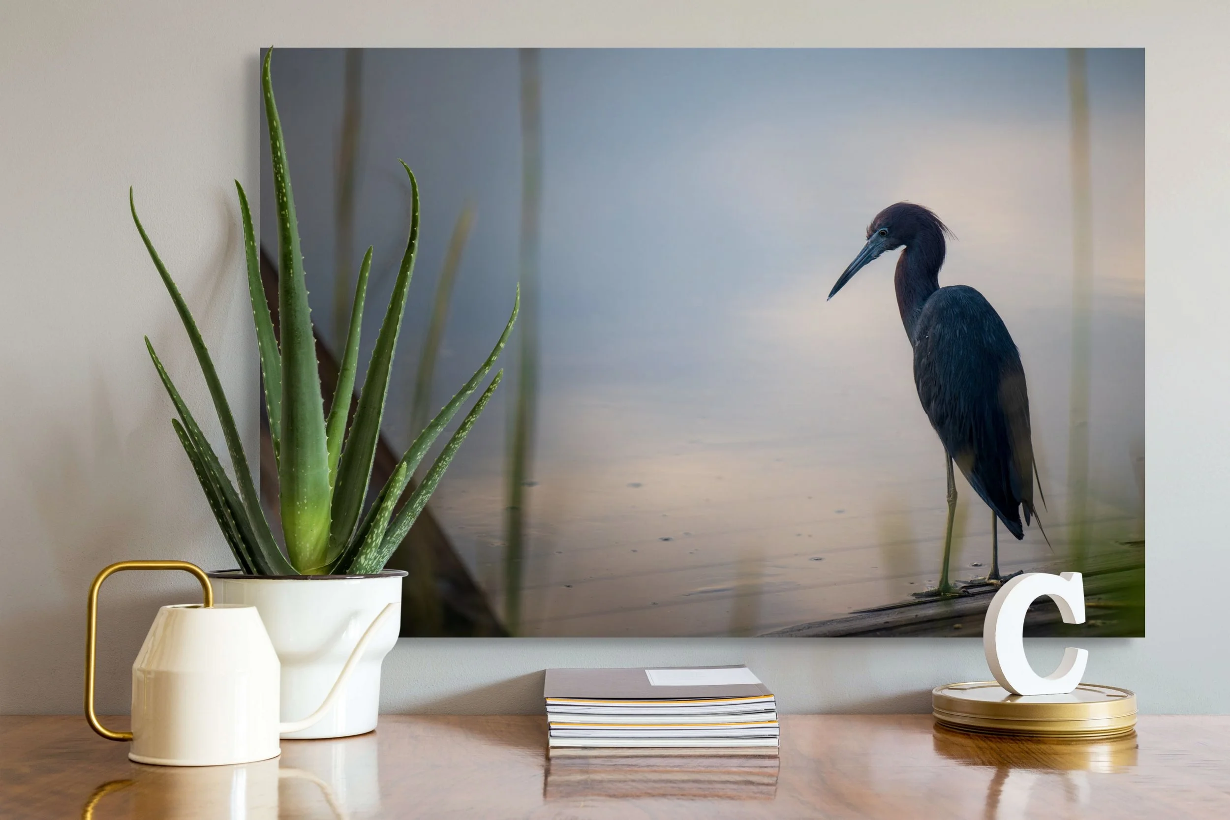 A framed photograph of a blue heron standing next to a body of water, with a white aloe vera plant in a white pitcher, and a stack of books on a wooden surface in front of it.