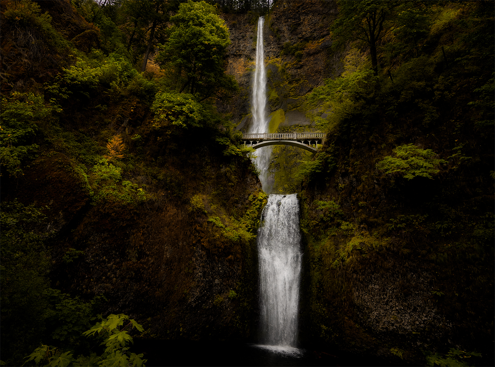 "Multnomah"