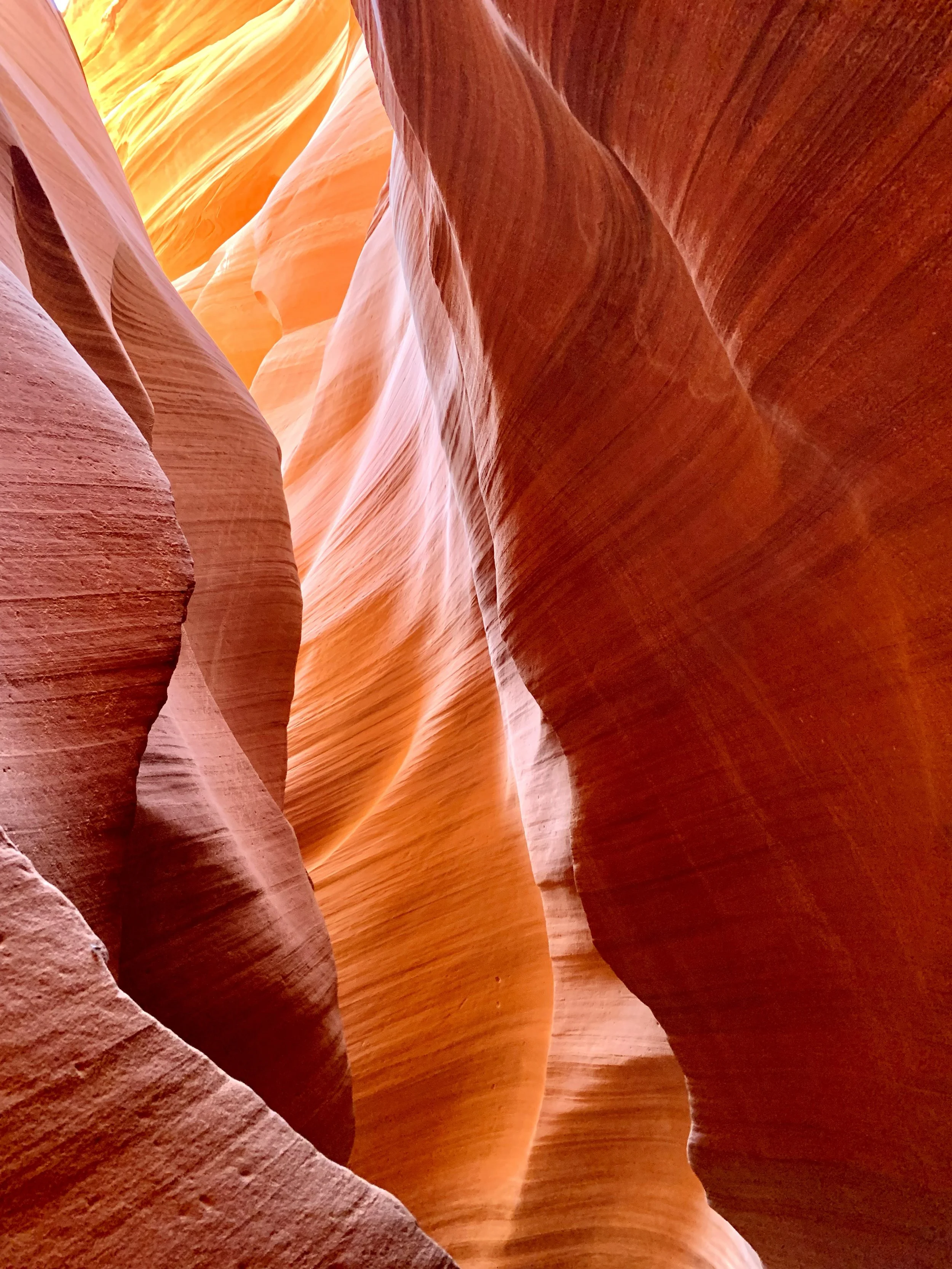 "Crimson Canyon"