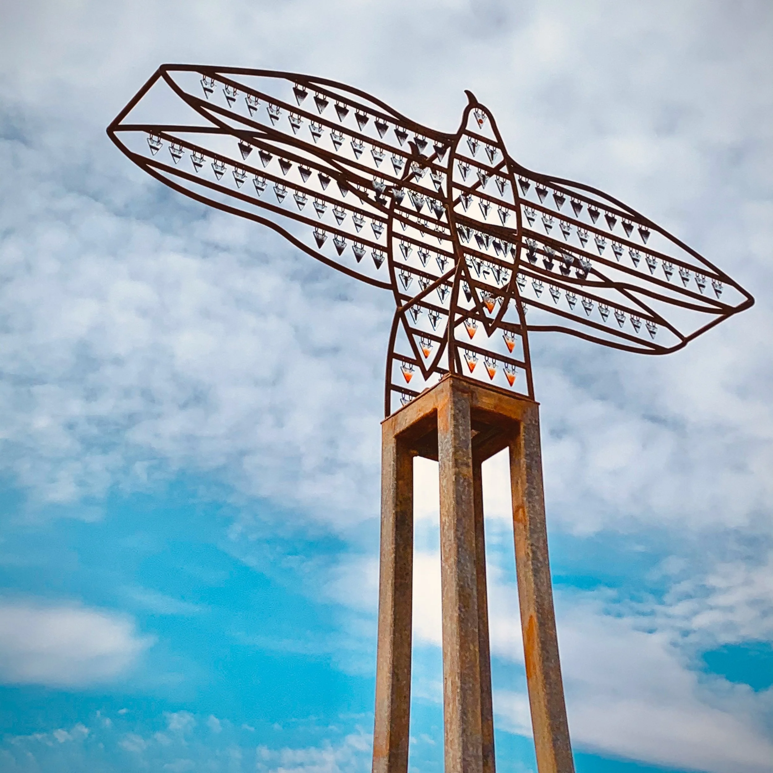 "Red Tail, Lubbock"