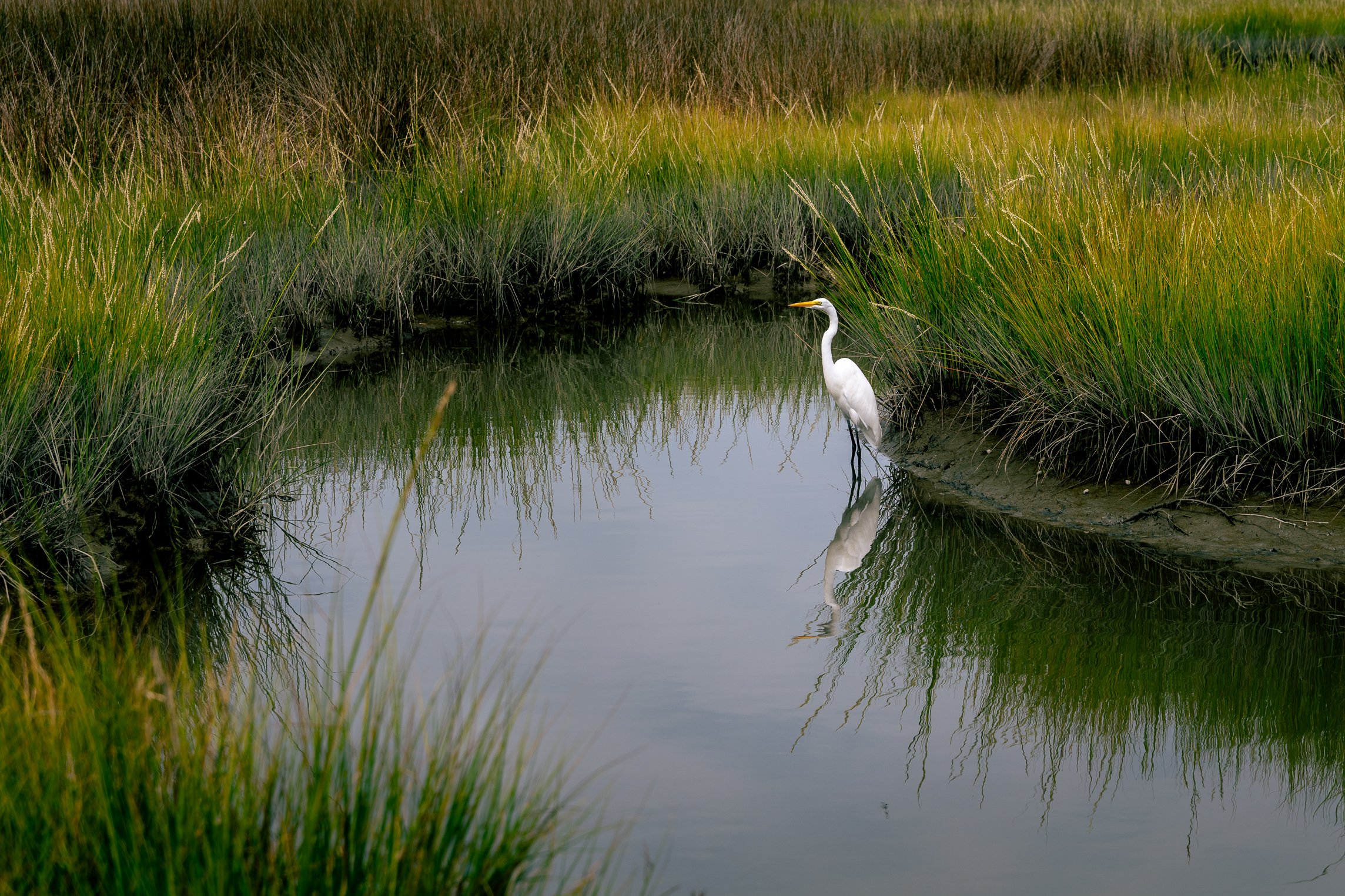 "Stillness"