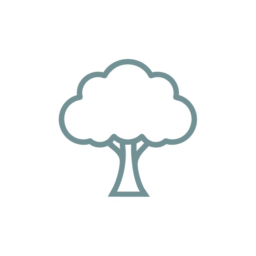 Line drawing of a tree with a thick trunk and full canopy.