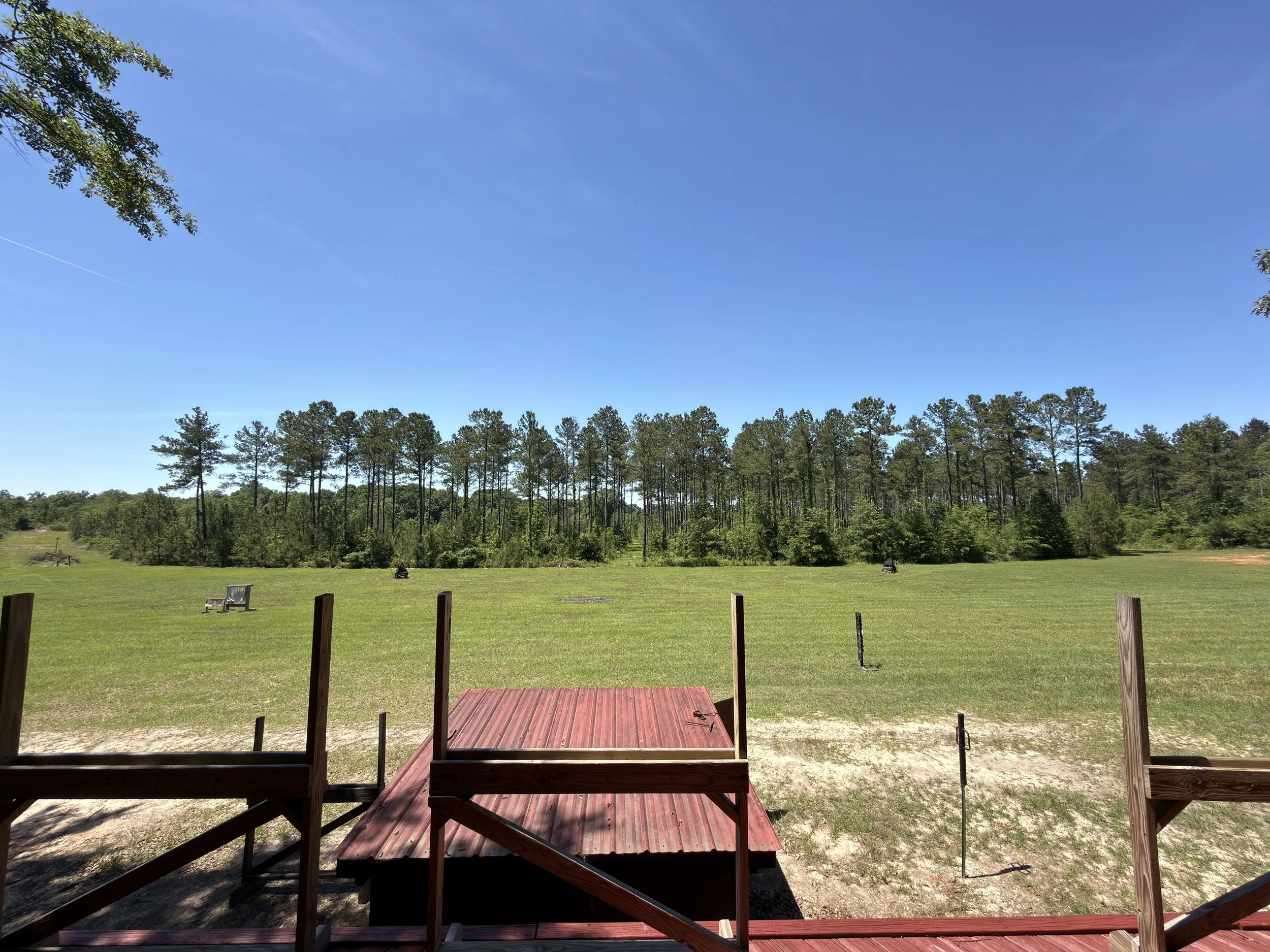 View from a wooden deck looking out over a grassy field, rows of trees in the distance, and a bright blue sky with few clouds.